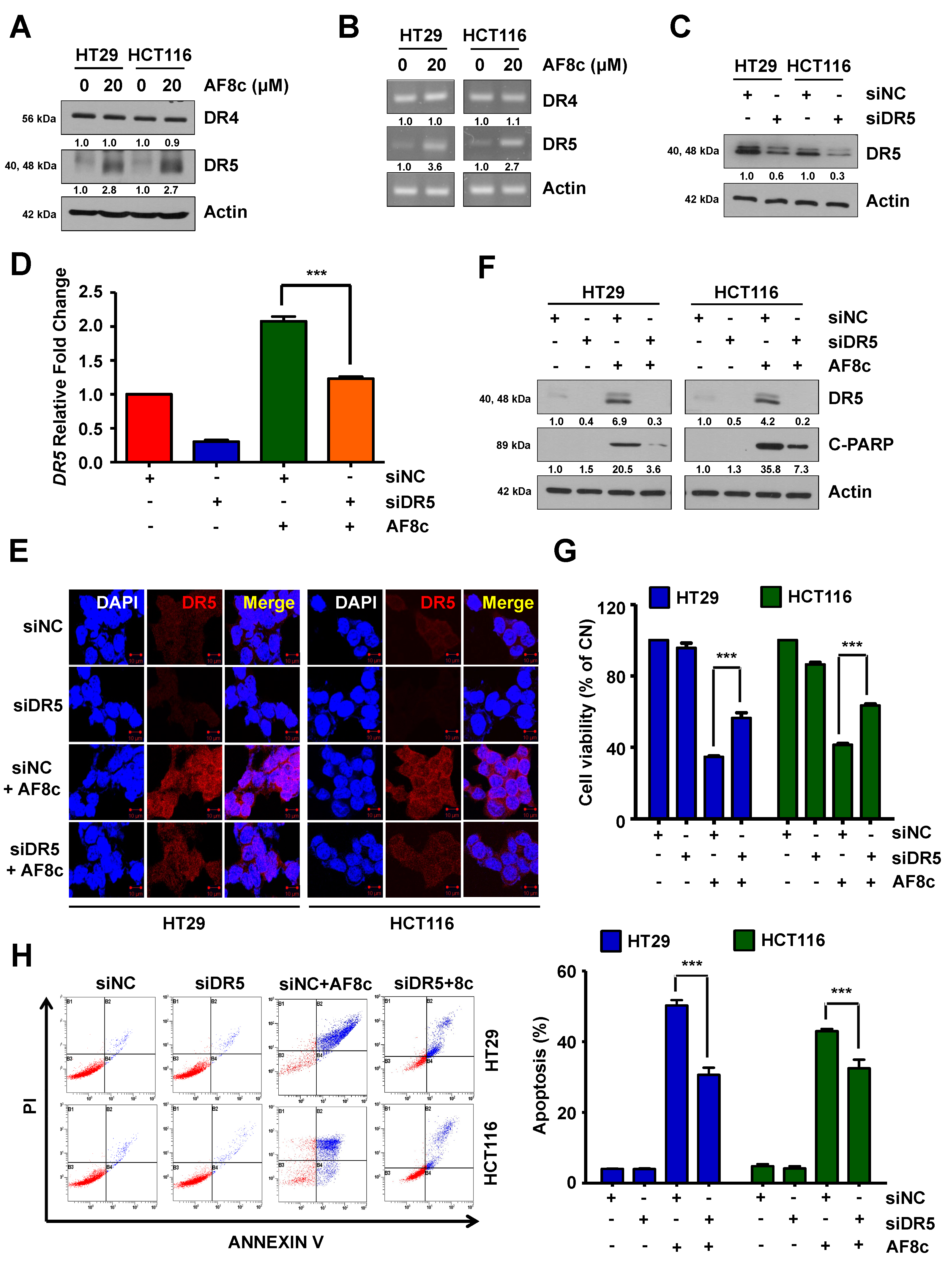 Cancers 14 03043 g002 Cancers 14 03043 g002