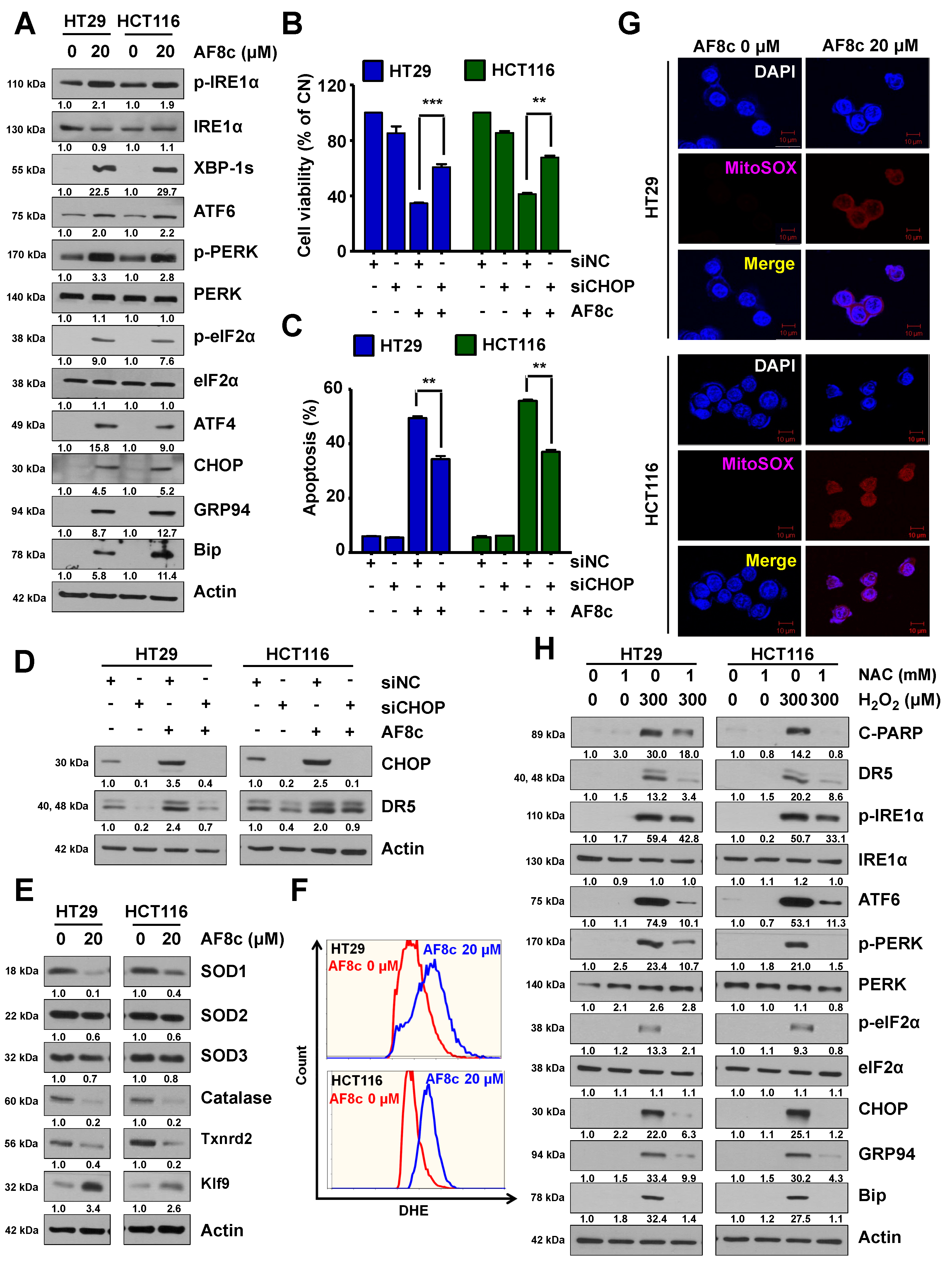 Cancers 14 03043 g003 Cancers 14 03043 g003