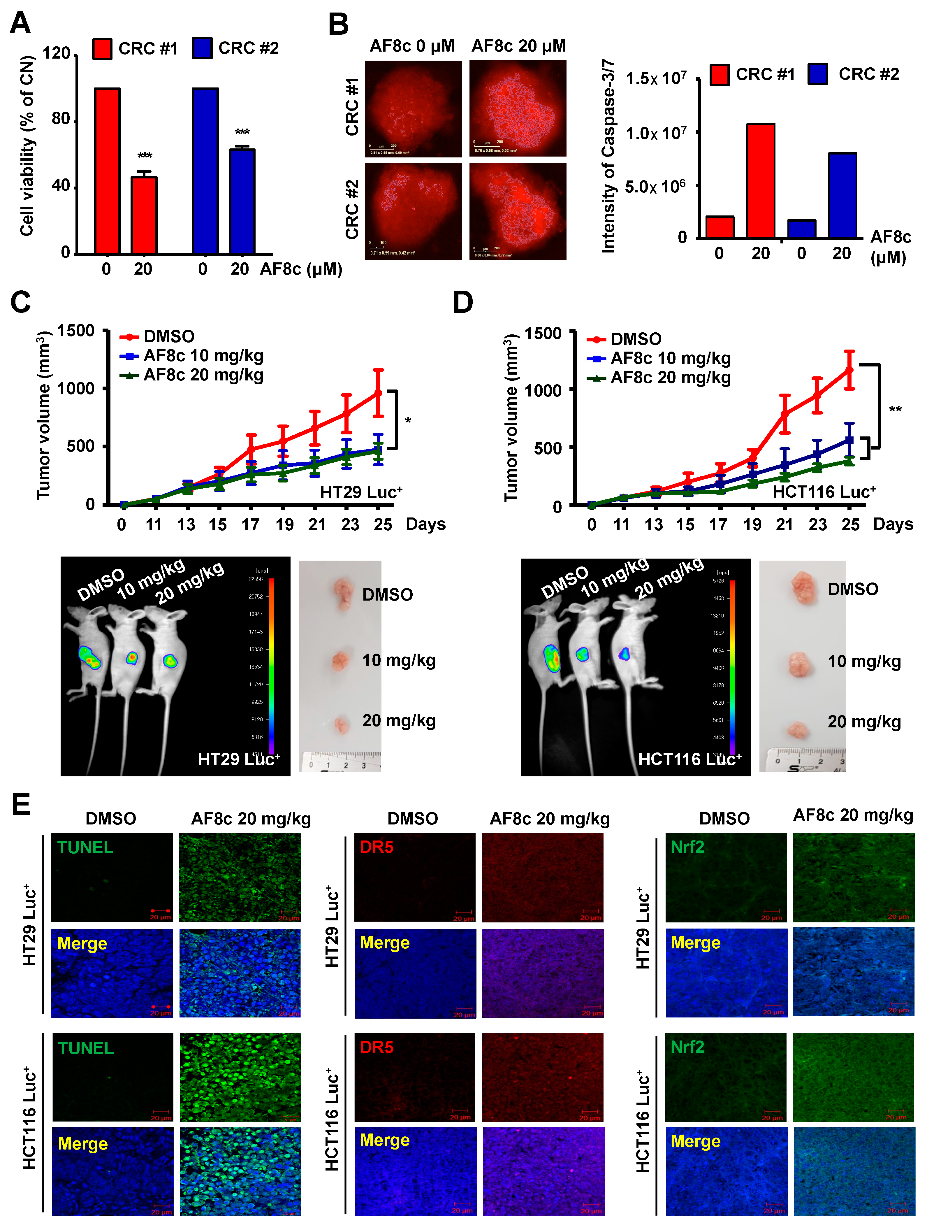 Cancers 14 03043 g005 Cancers 14 03043 g005