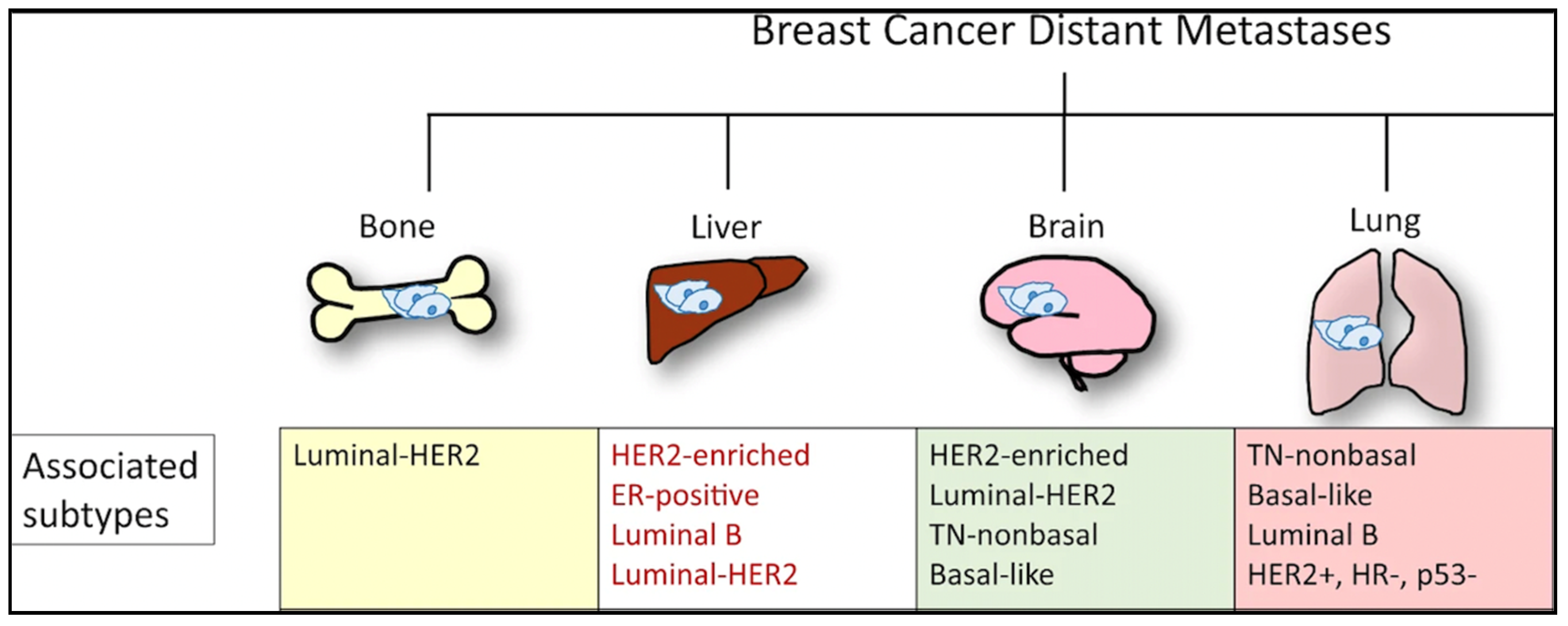 Cancers 14 03046 g002 550