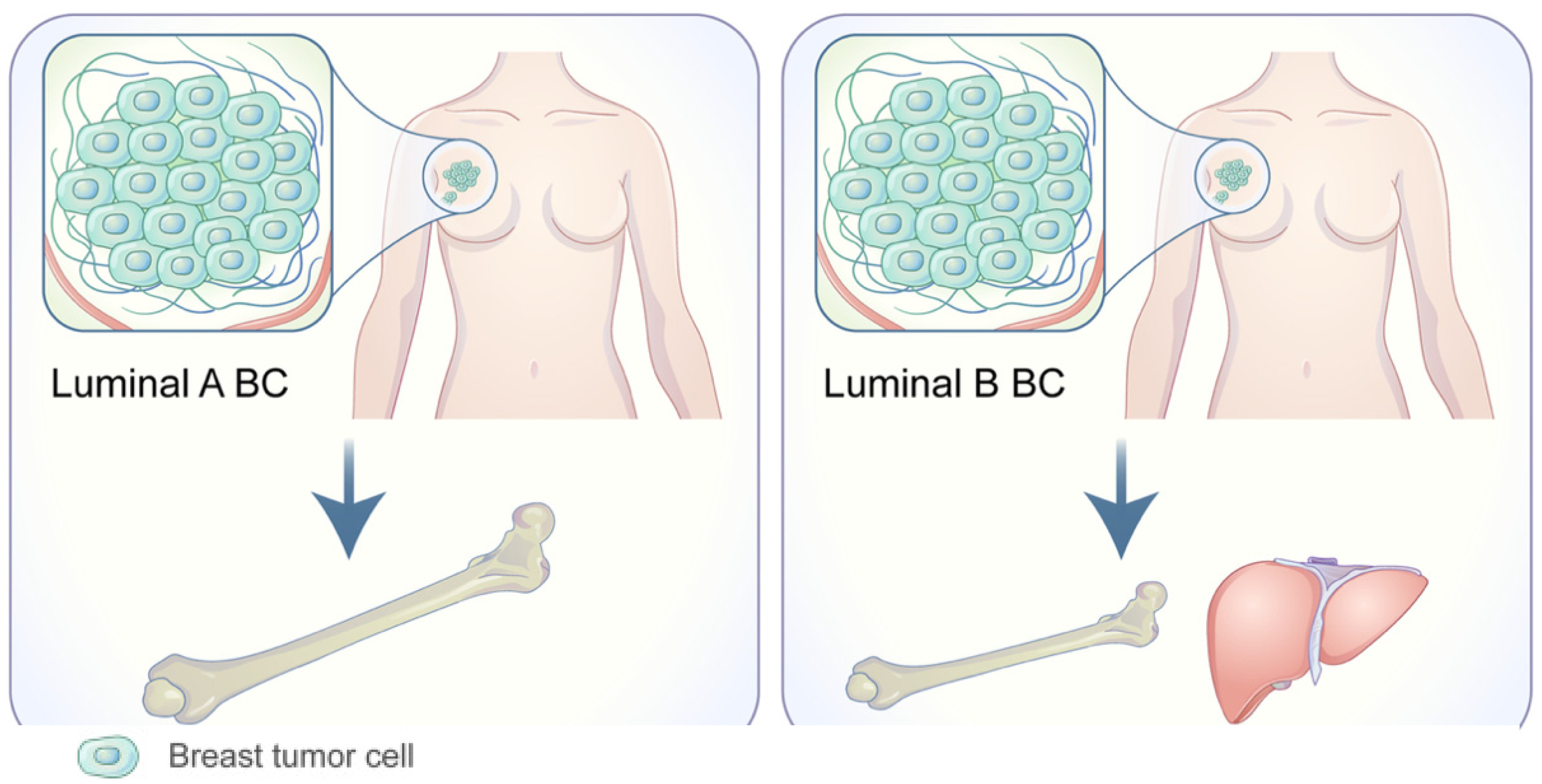 Cancers 14 03046 g003 550