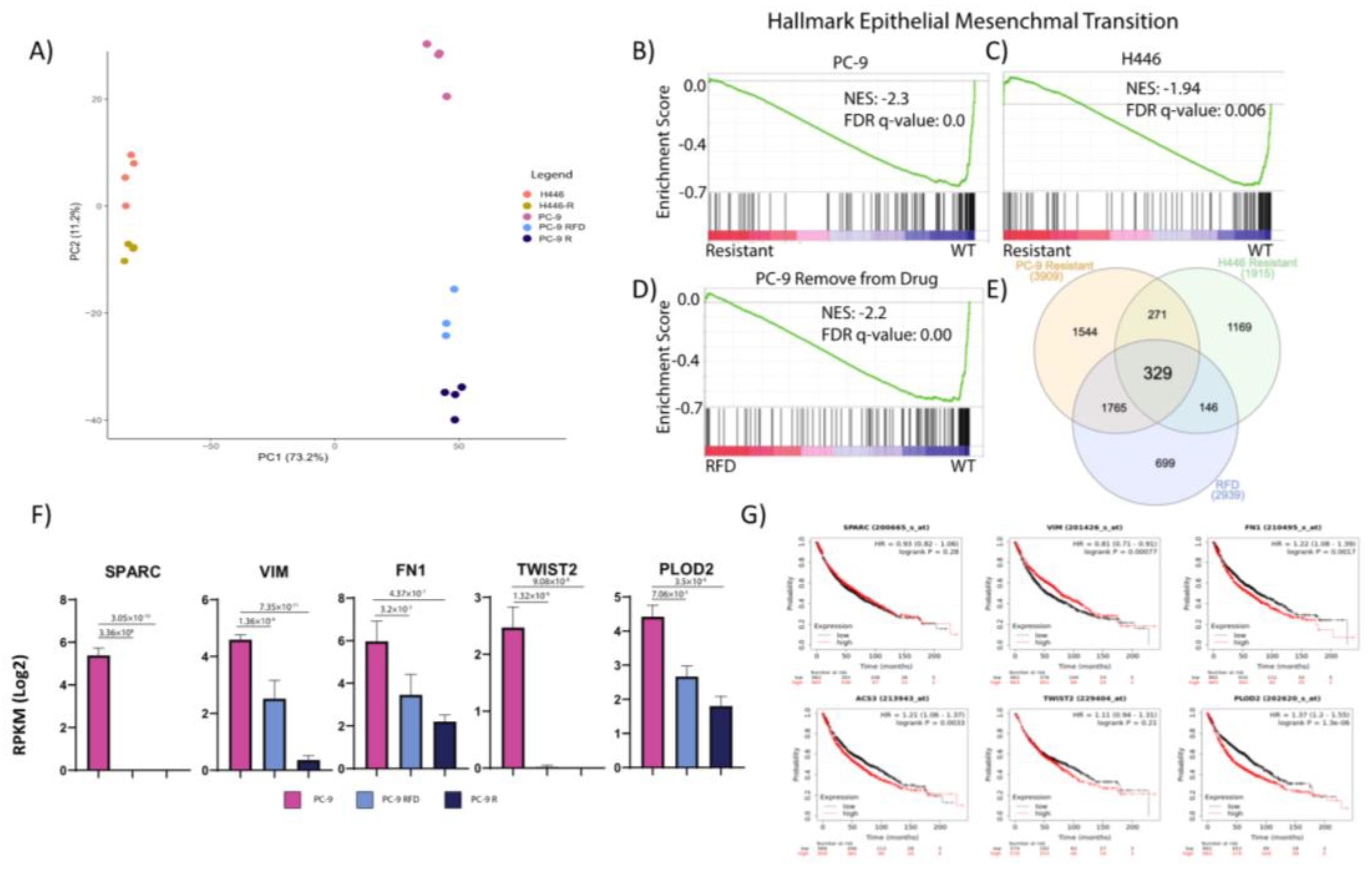 Cancers 14 03062 g002