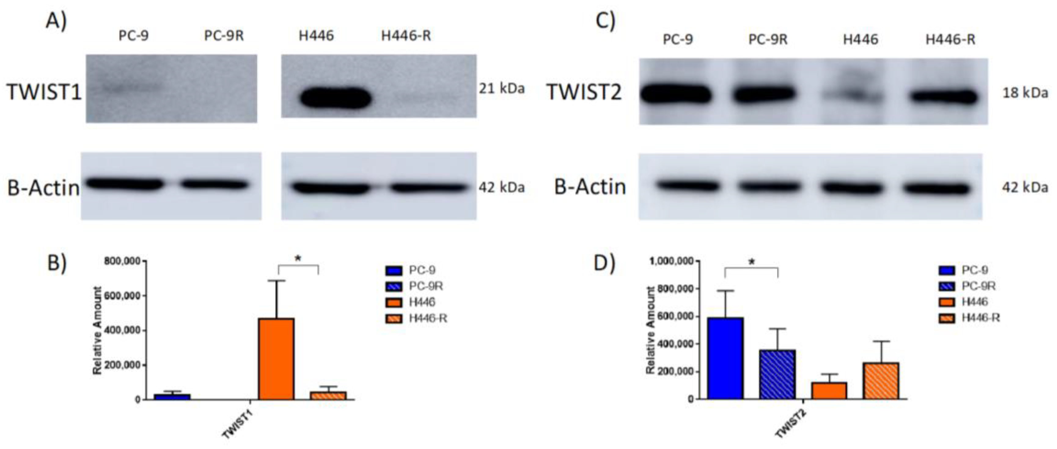 Cancers 14 03062 g003