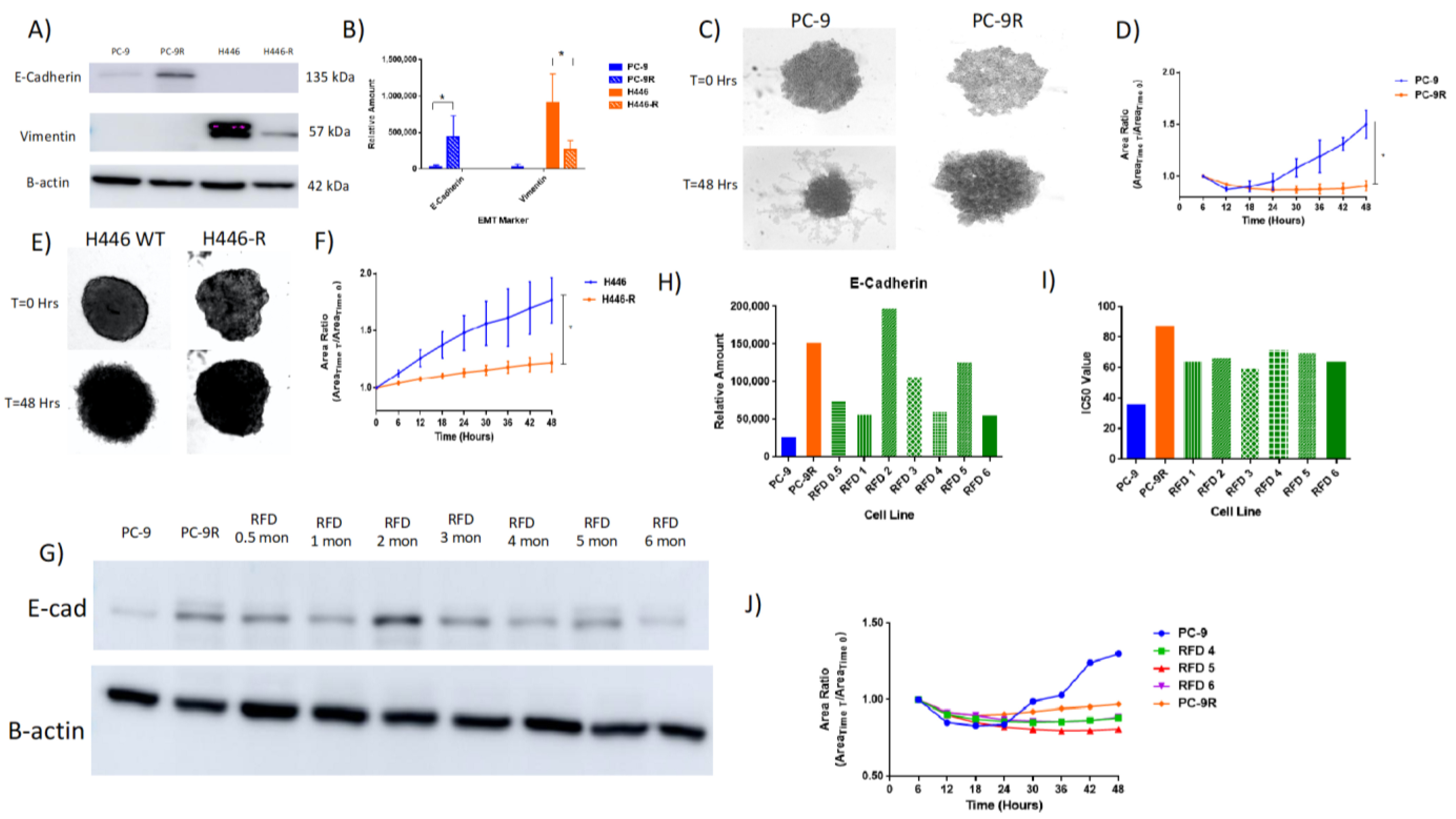 Cancers 14 03062 g004