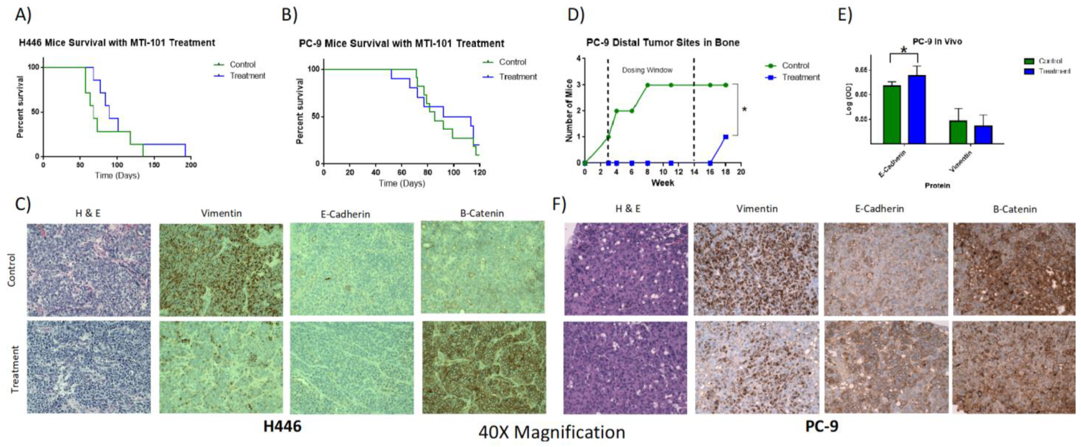 Cancers 14 03062 g005
