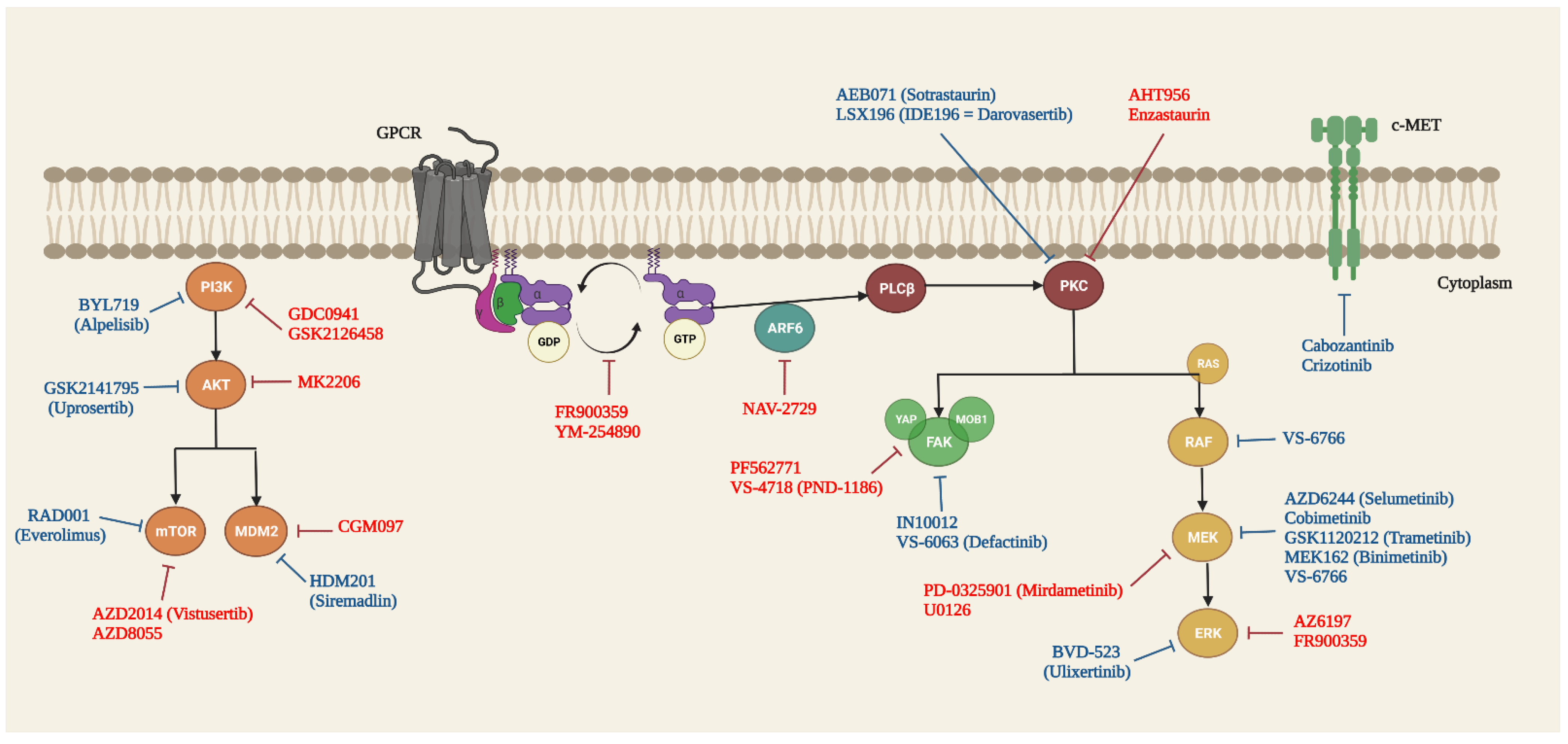 Cancers 14 03066 g001