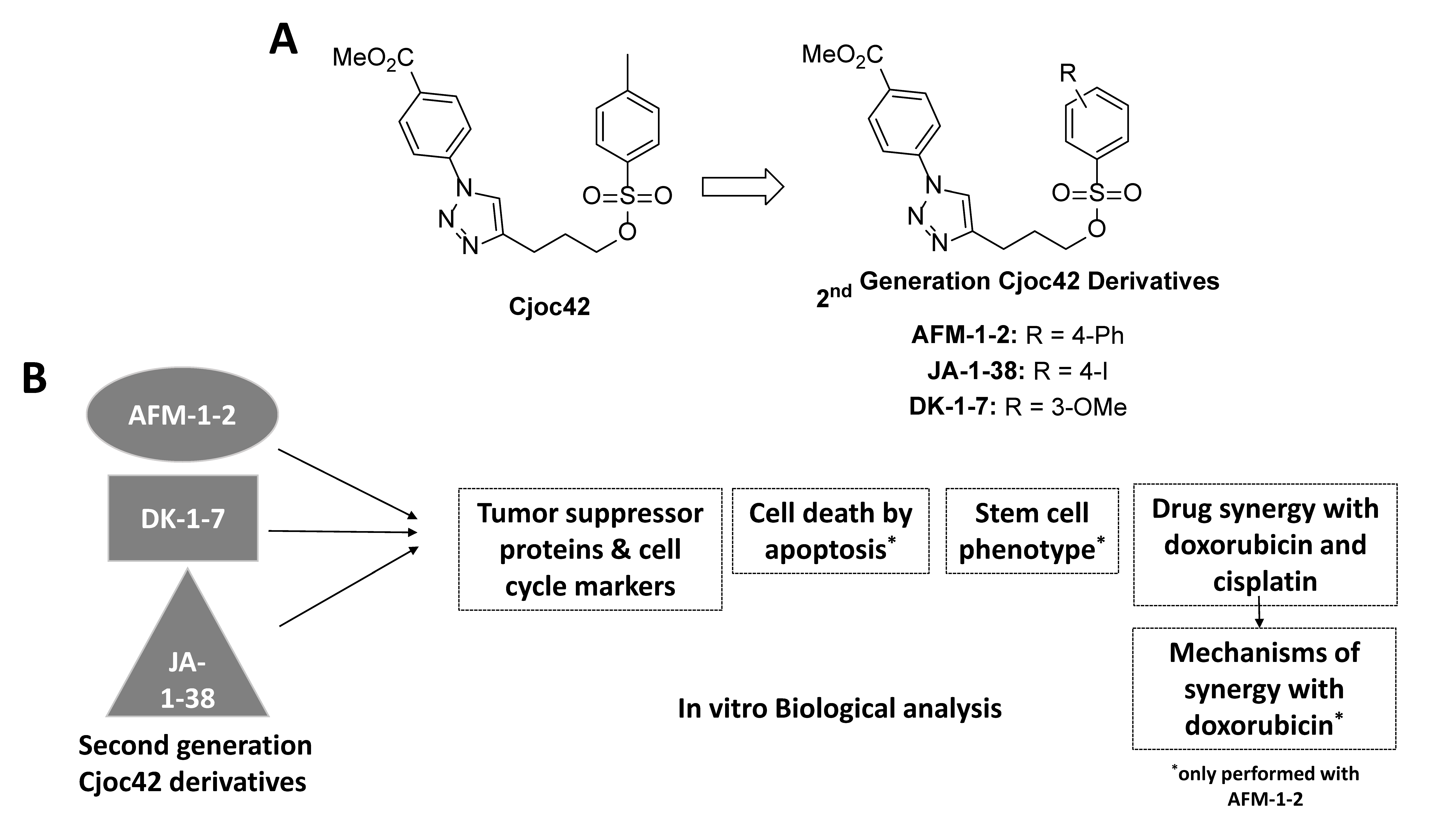 Cancers 14 03068 g001