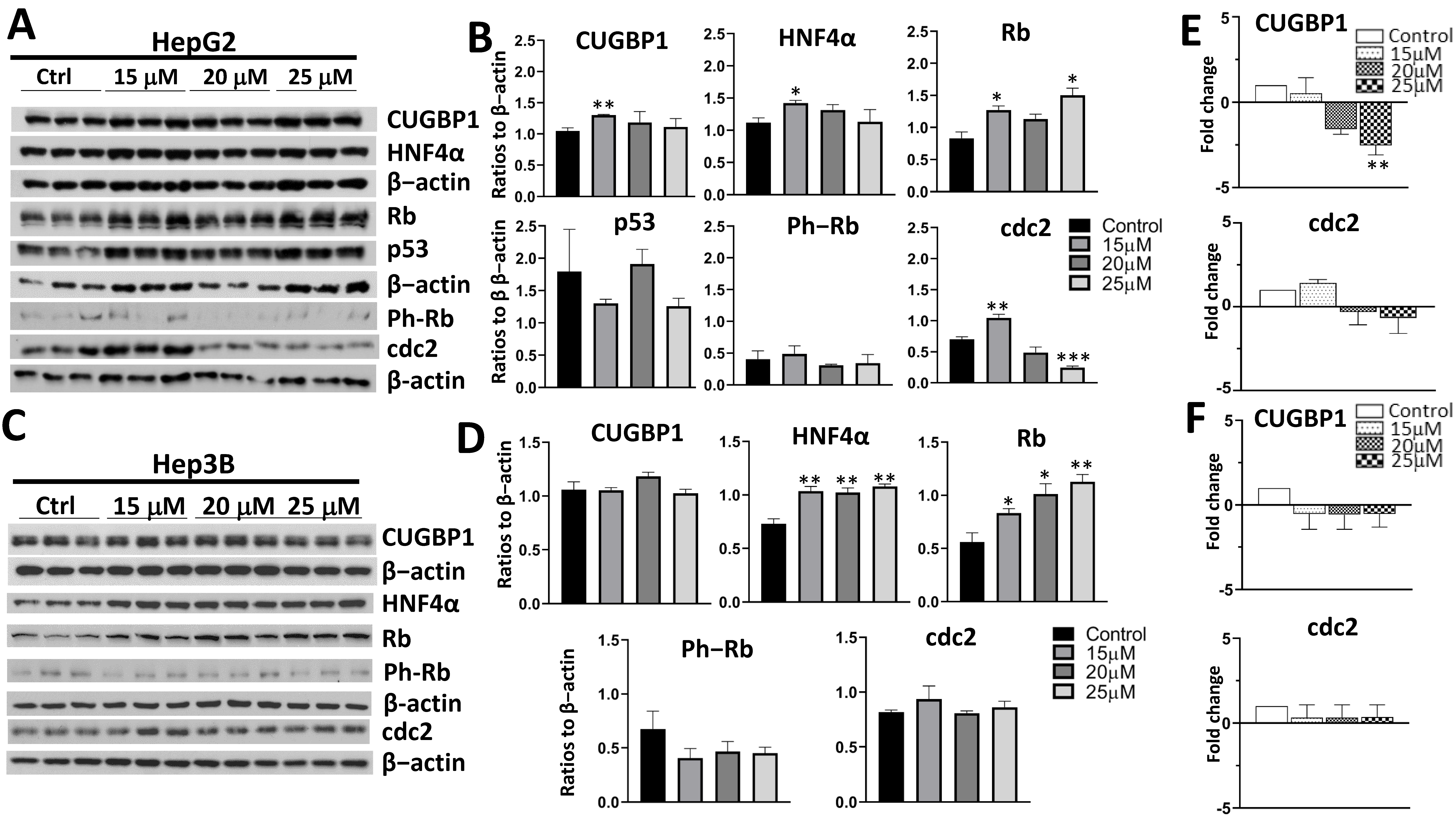 Cancers 14 03068 g003
