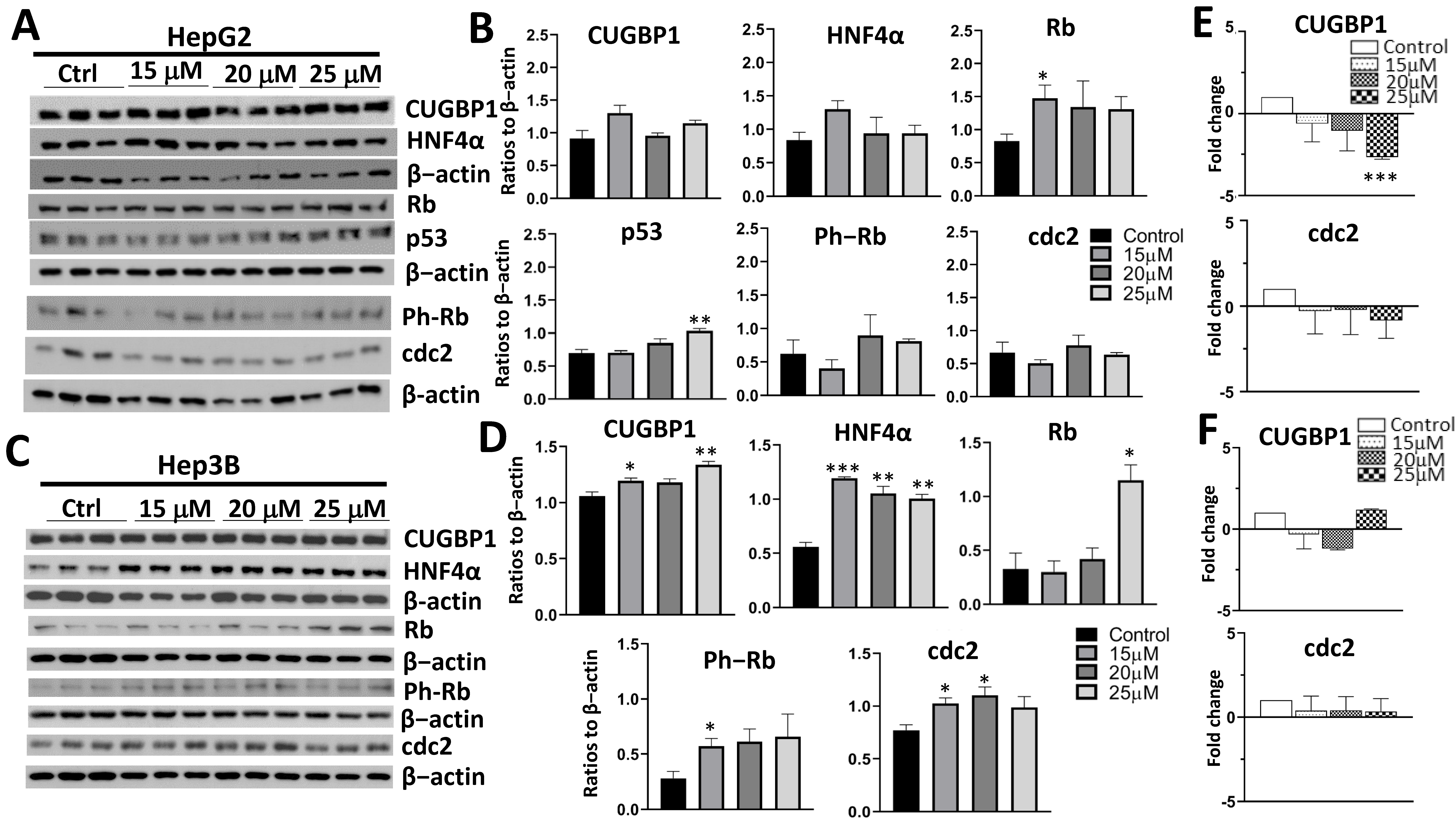 Cancers 14 03068 g004