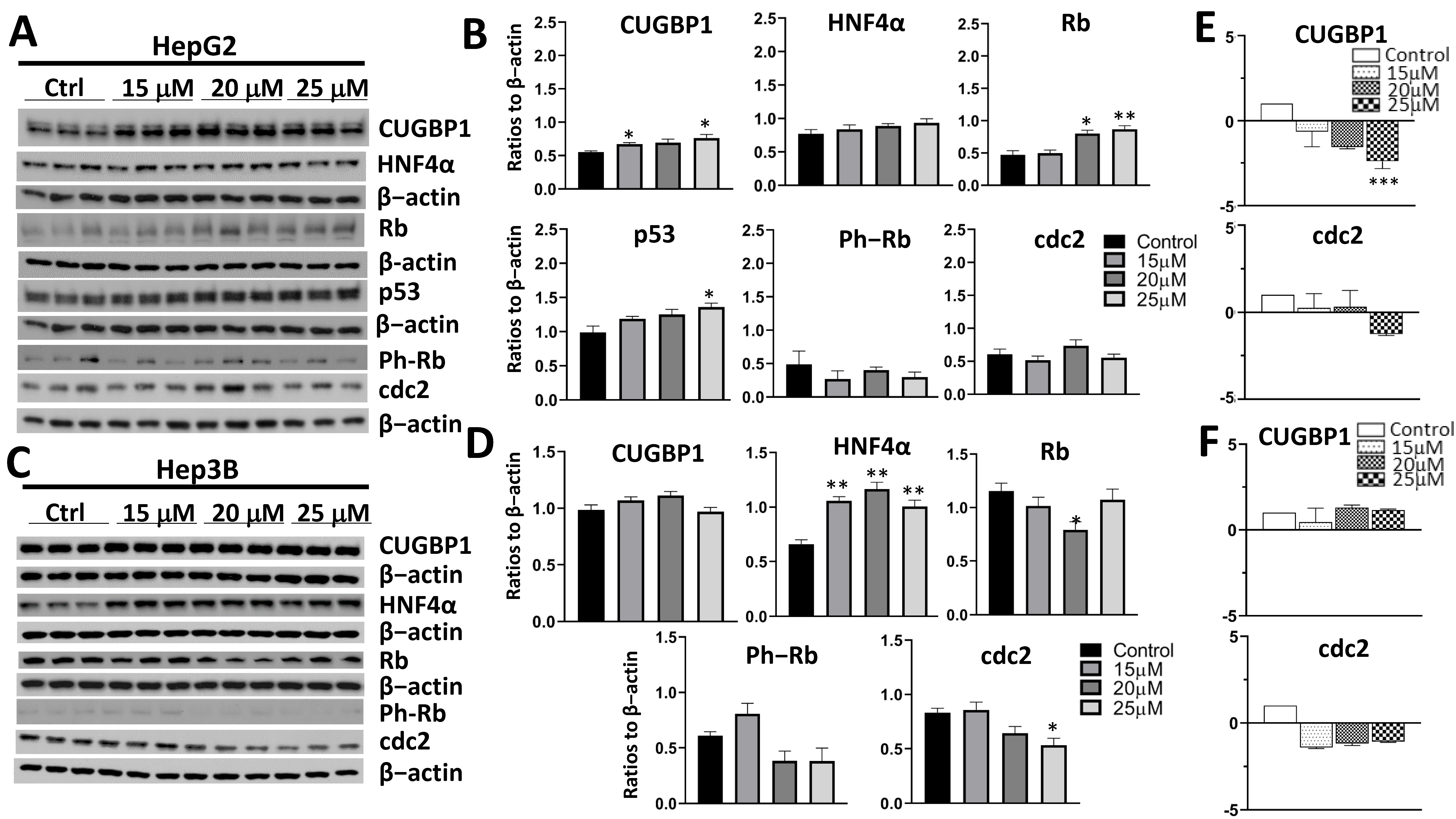 Cancers 14 03068 g005