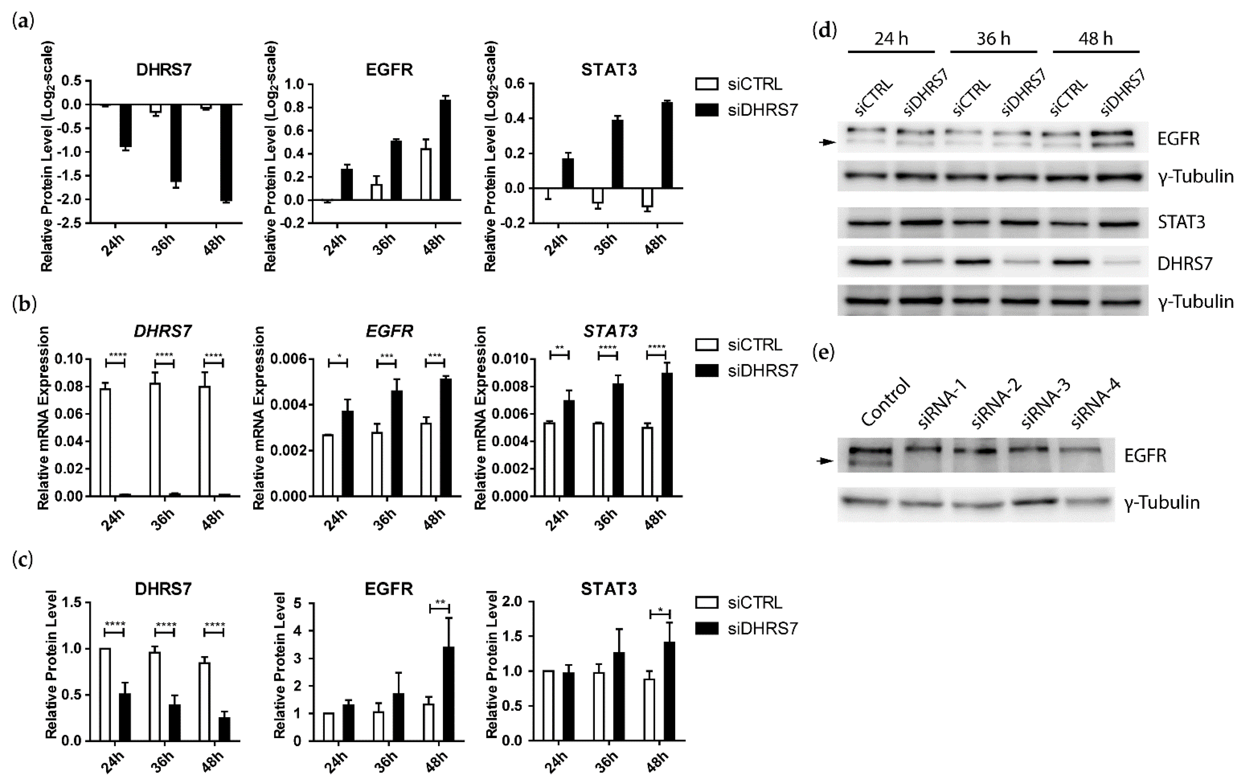 Cancers 14 03074 g002 Cancers 14 03074 g002