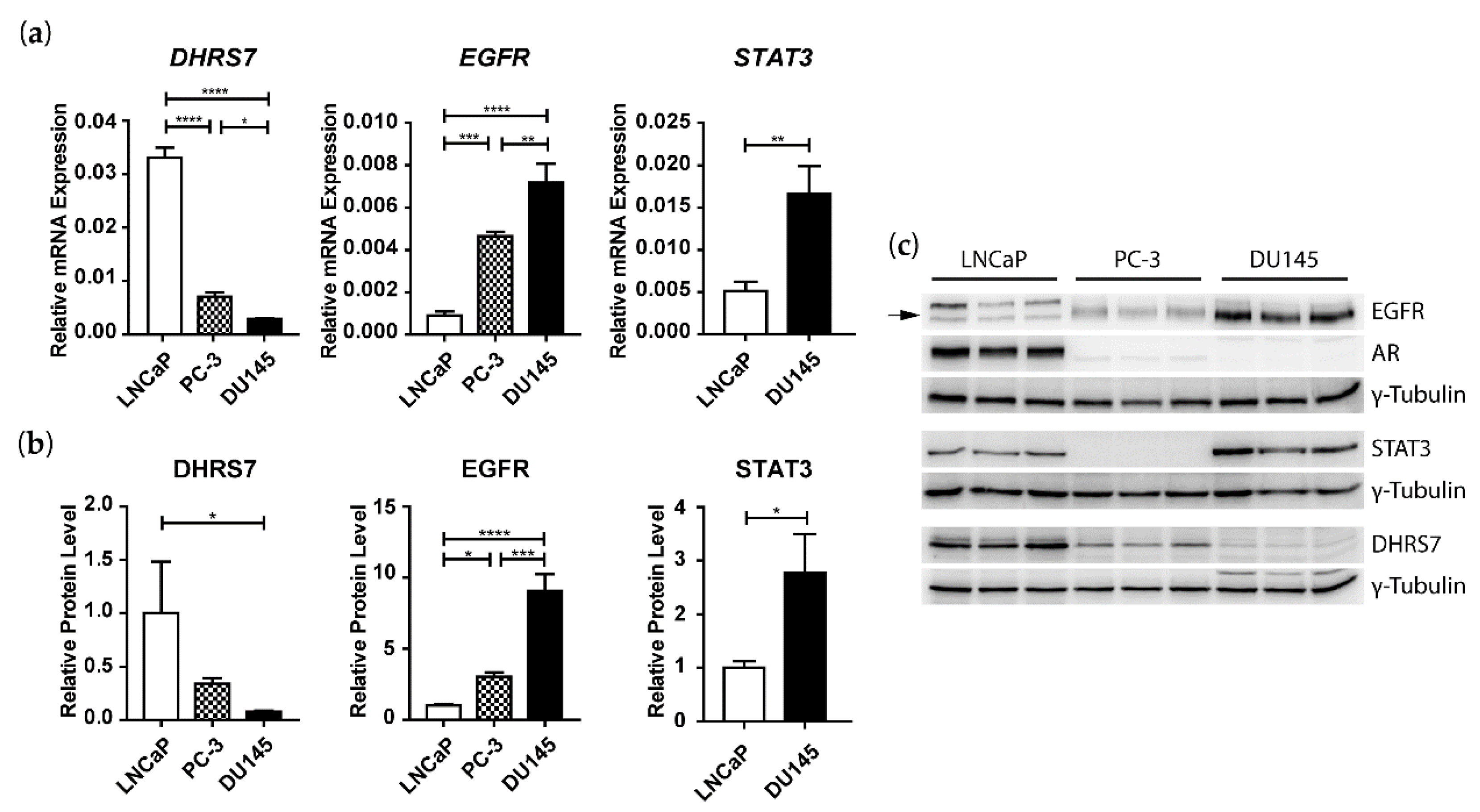 Cancers 14 03074 g003 Cancers 14 03074 g003
