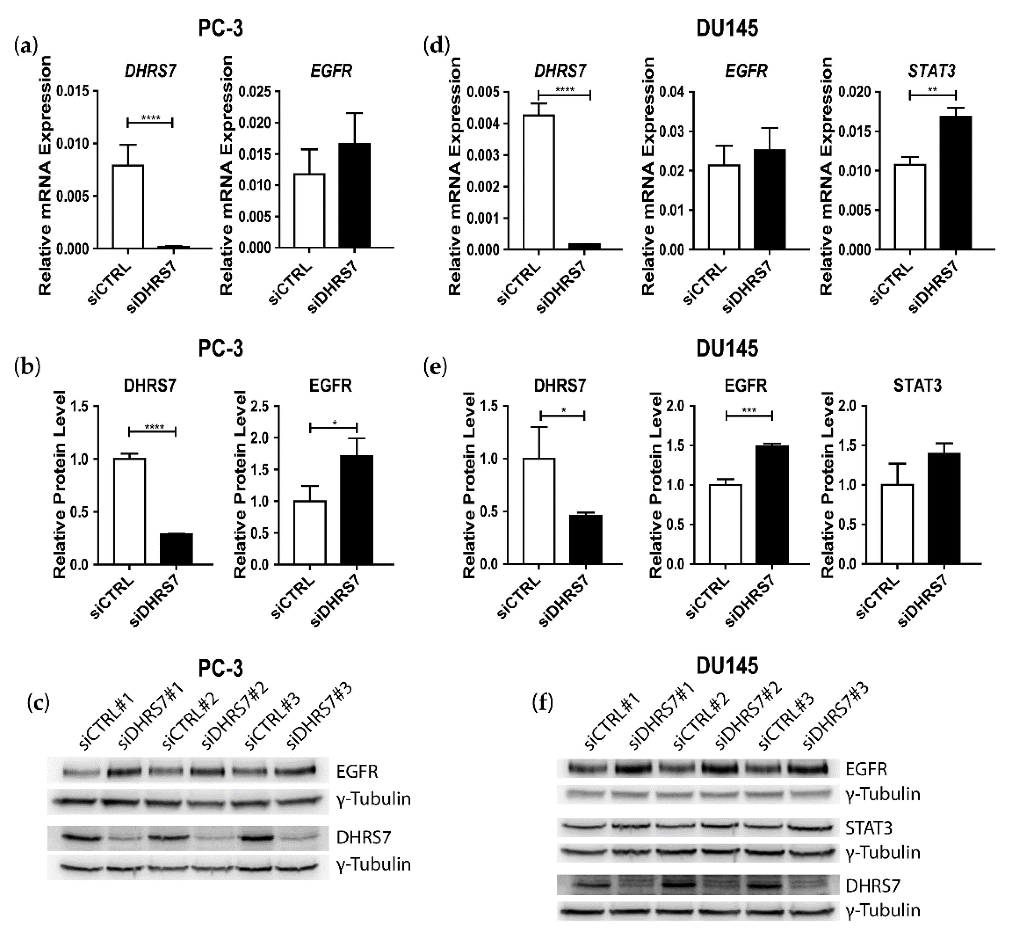 Cancers 14 03074 g004 Cancers 14 03074 g004