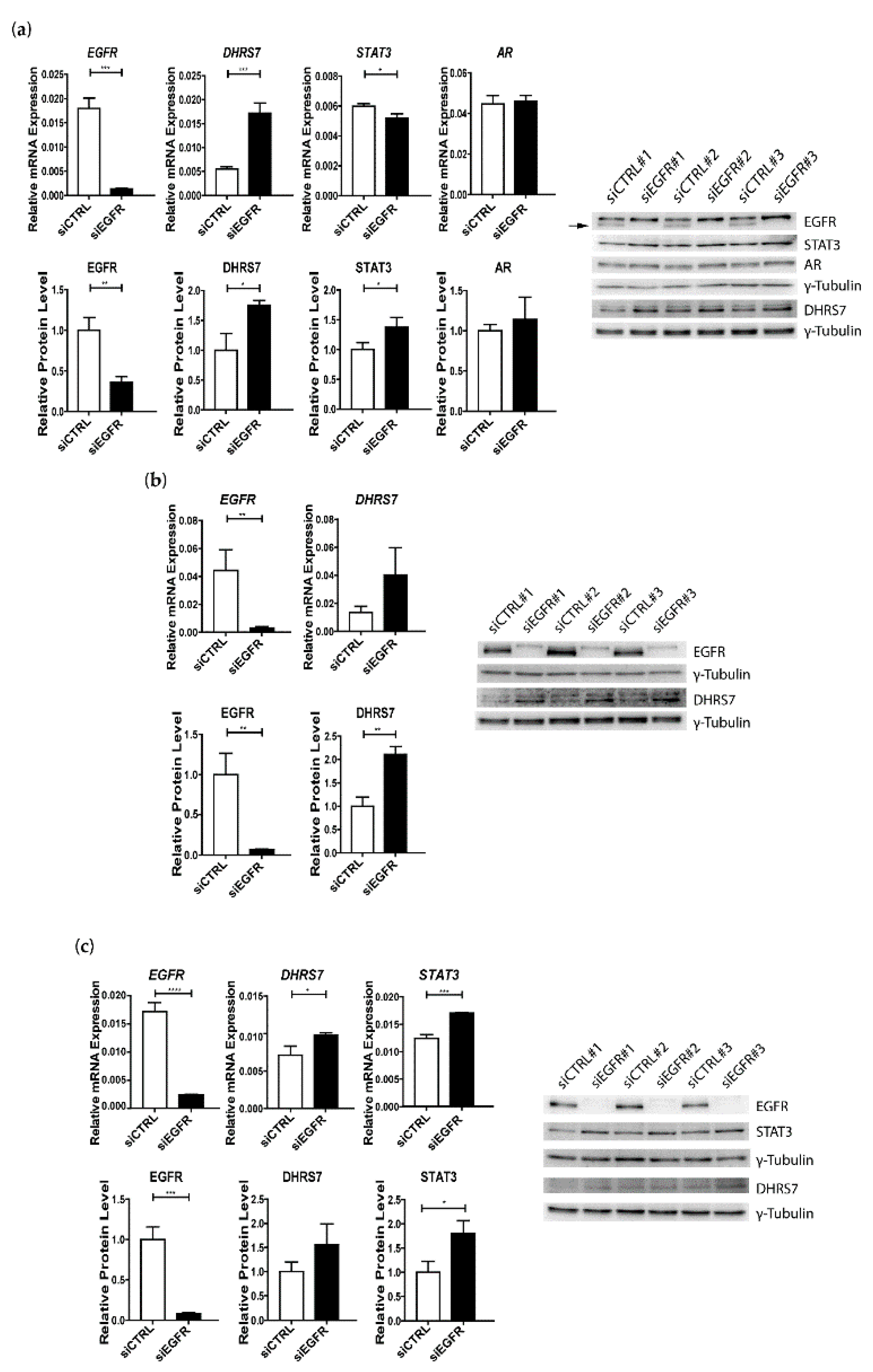 Cancers 14 03074 g005 Cancers 14 03074 g005