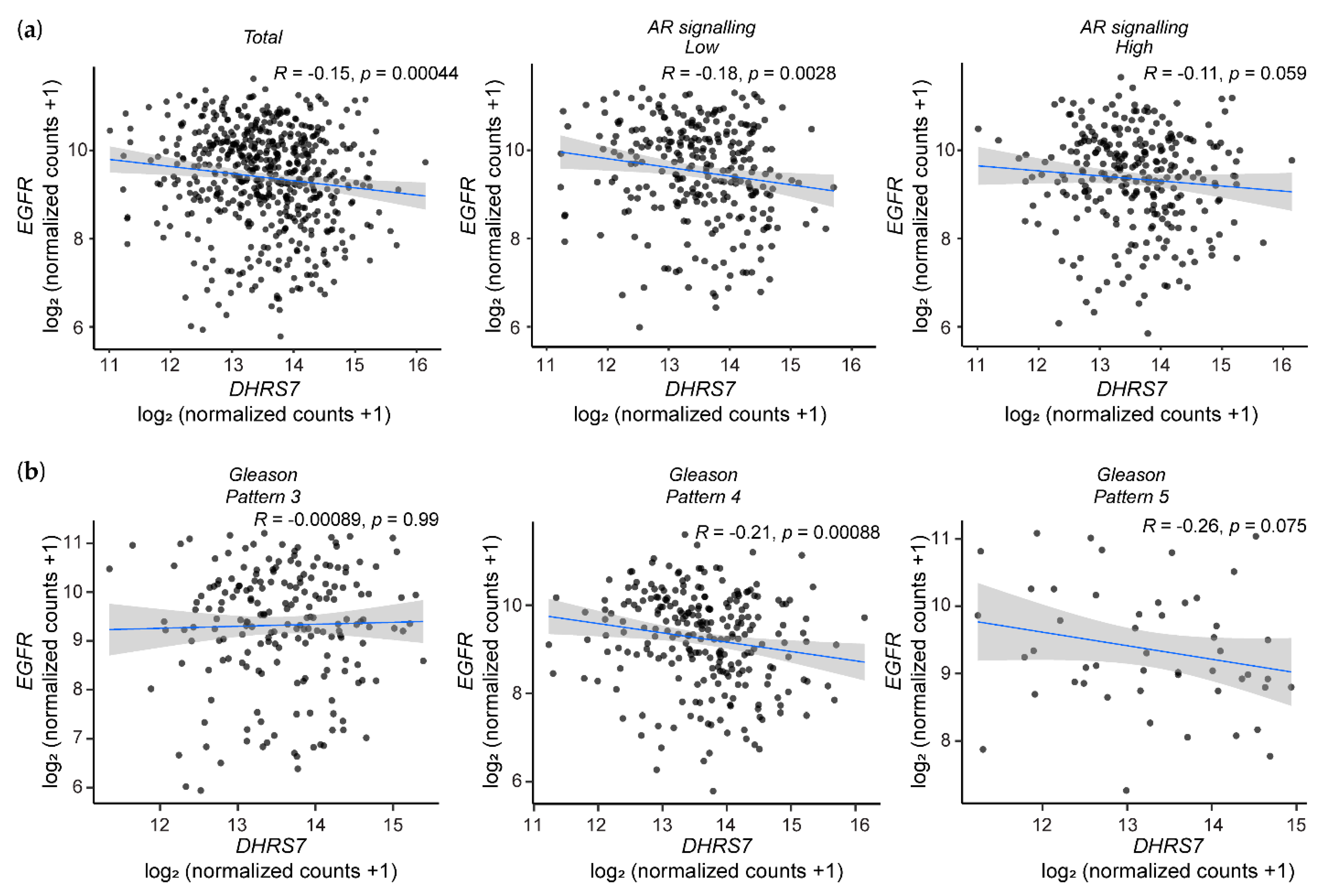Cancers 14 03074 g007 Cancers 14 03074 g007