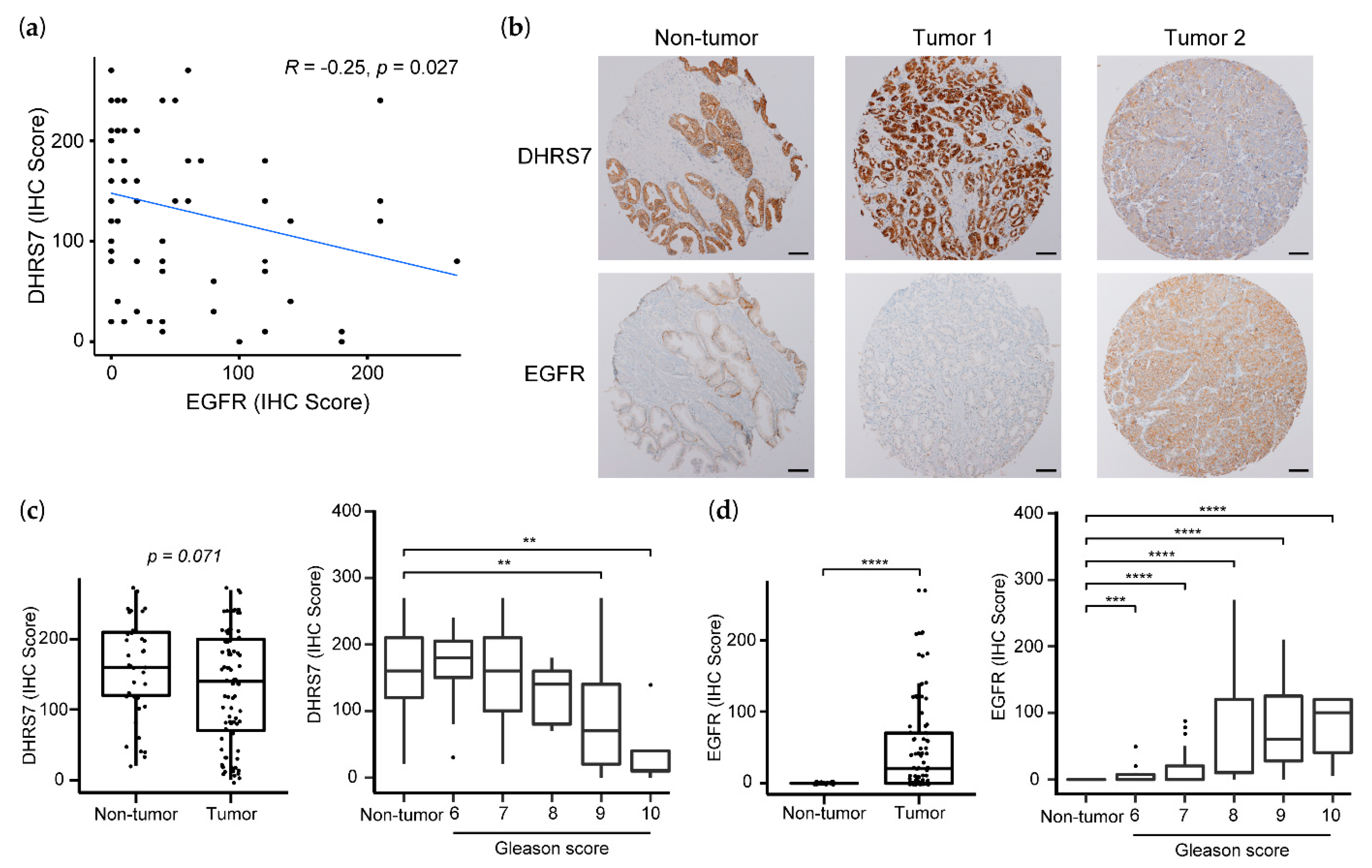Cancers 14 03074 g008 Cancers 14 03074 g008