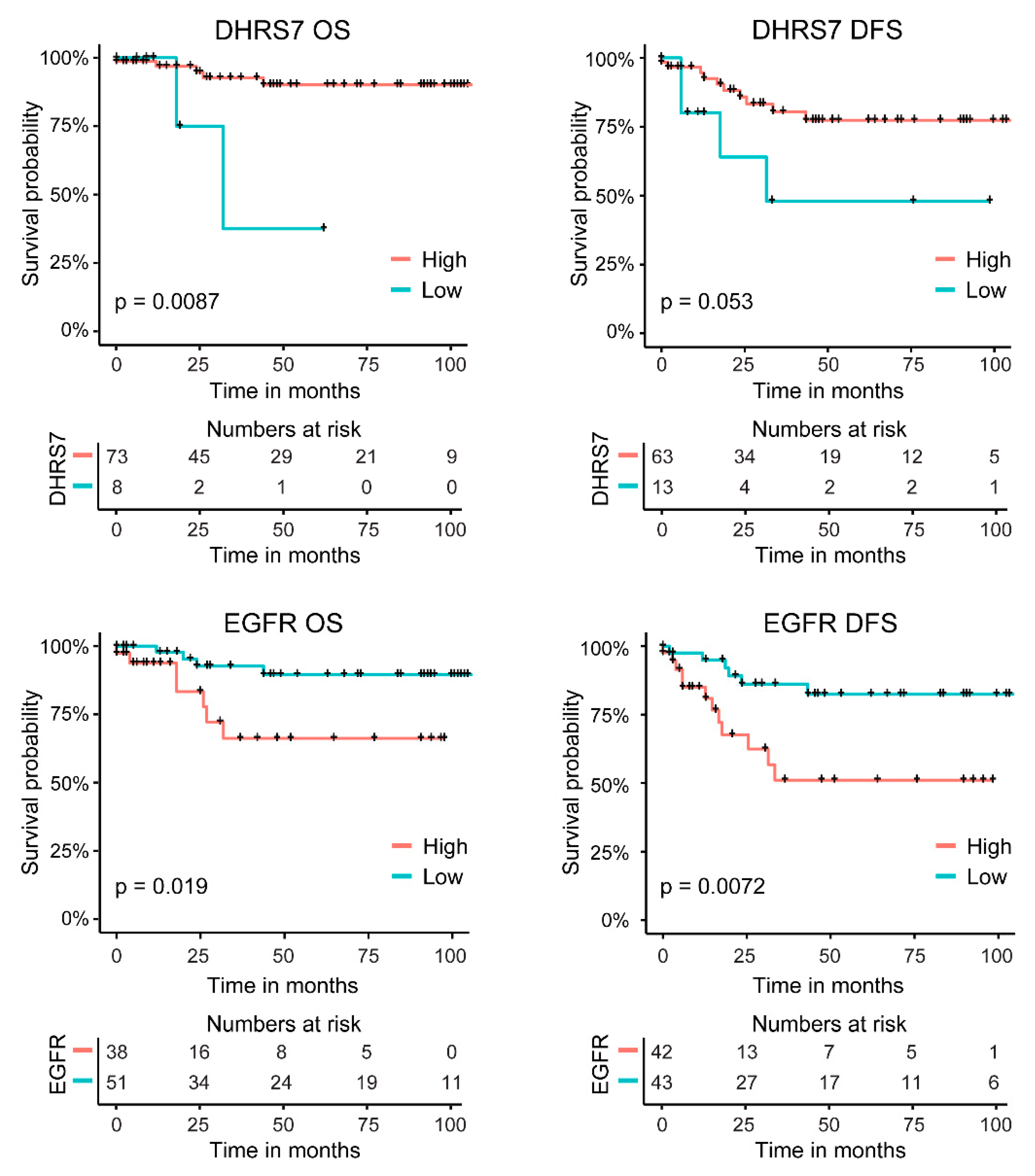 Cancers 14 03074 g009 Cancers 14 03074 g009