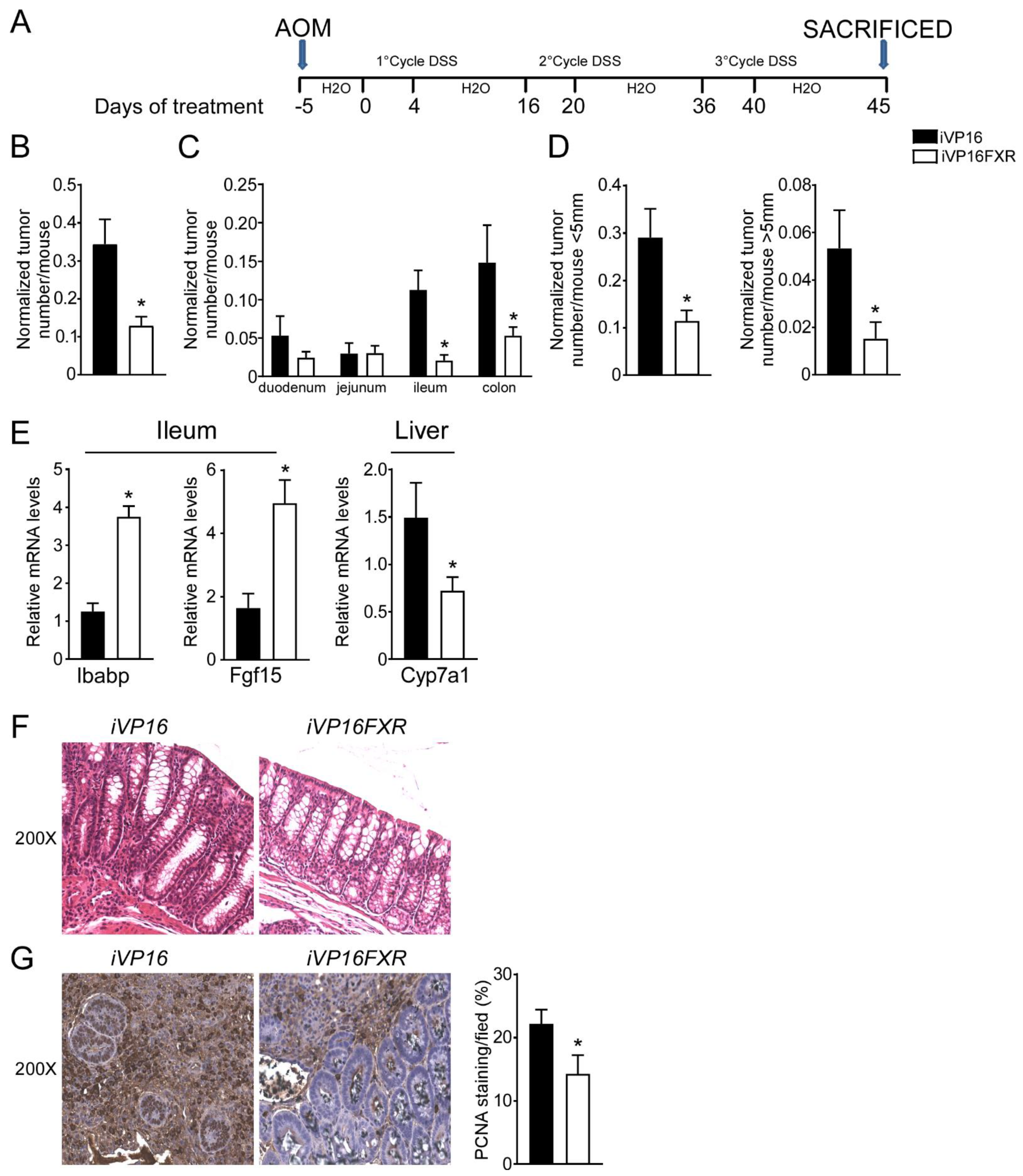 Cancers 14 03081 g001