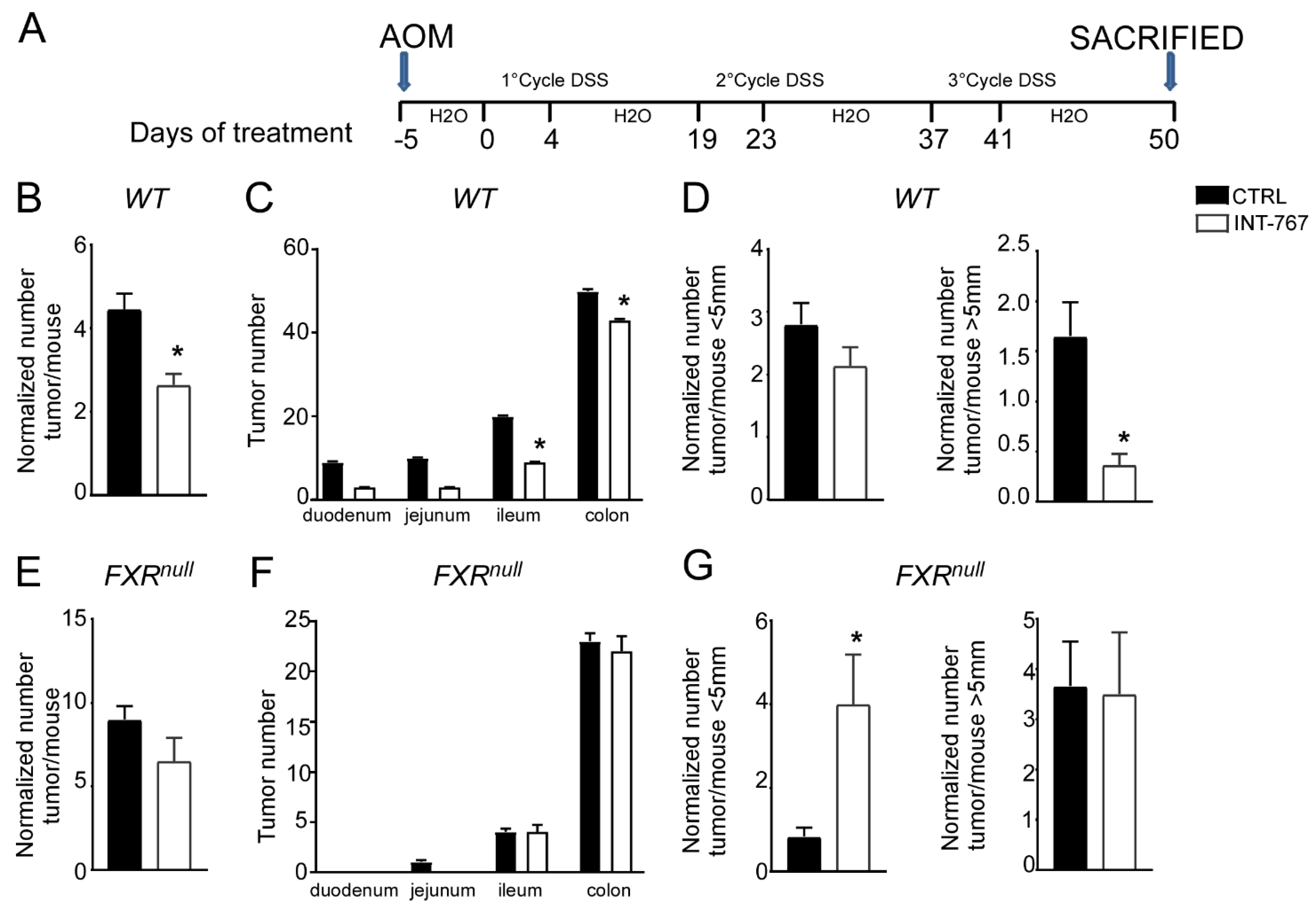 Cancers 14 03081 g004