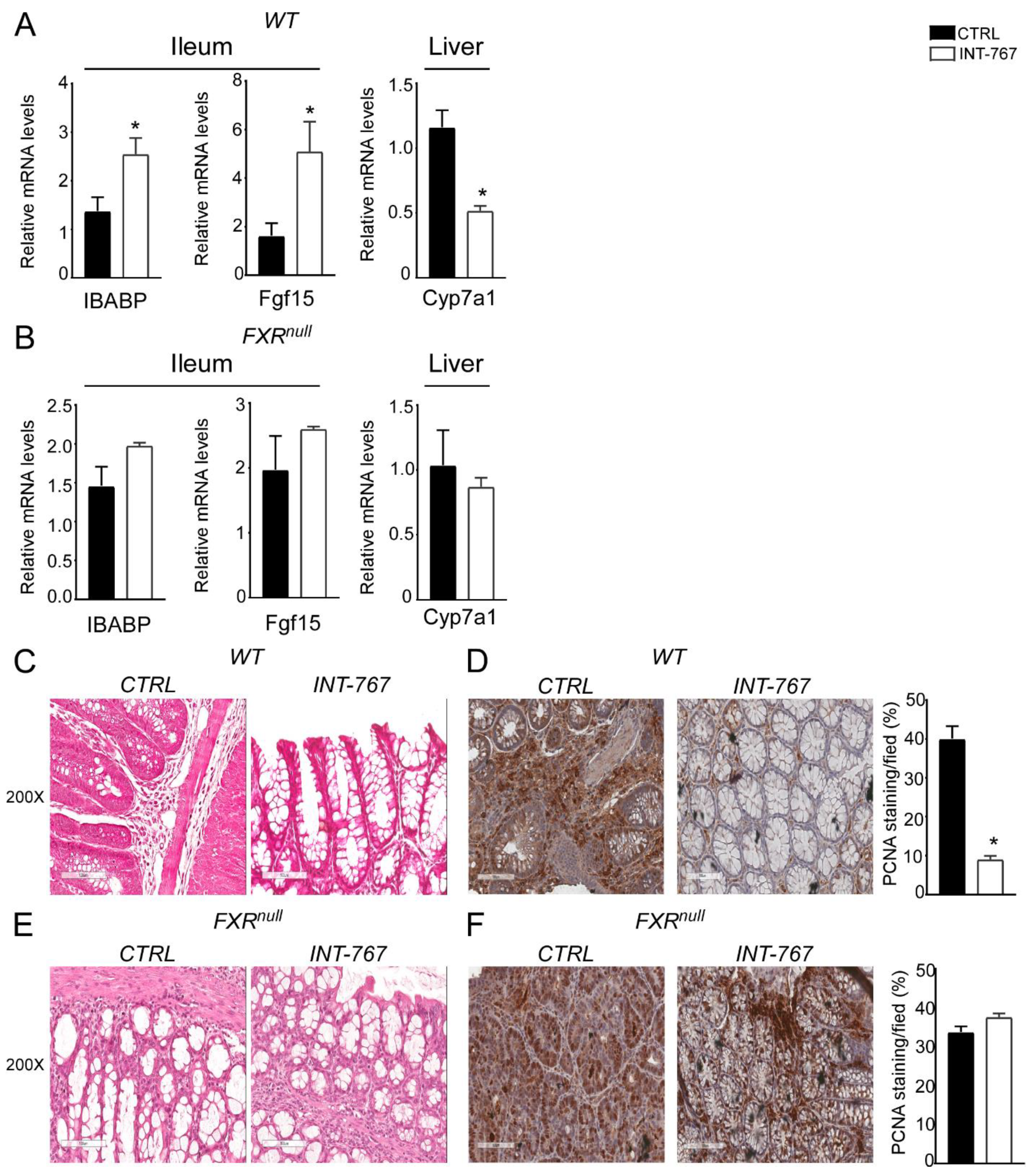 Cancers 14 03081 g005