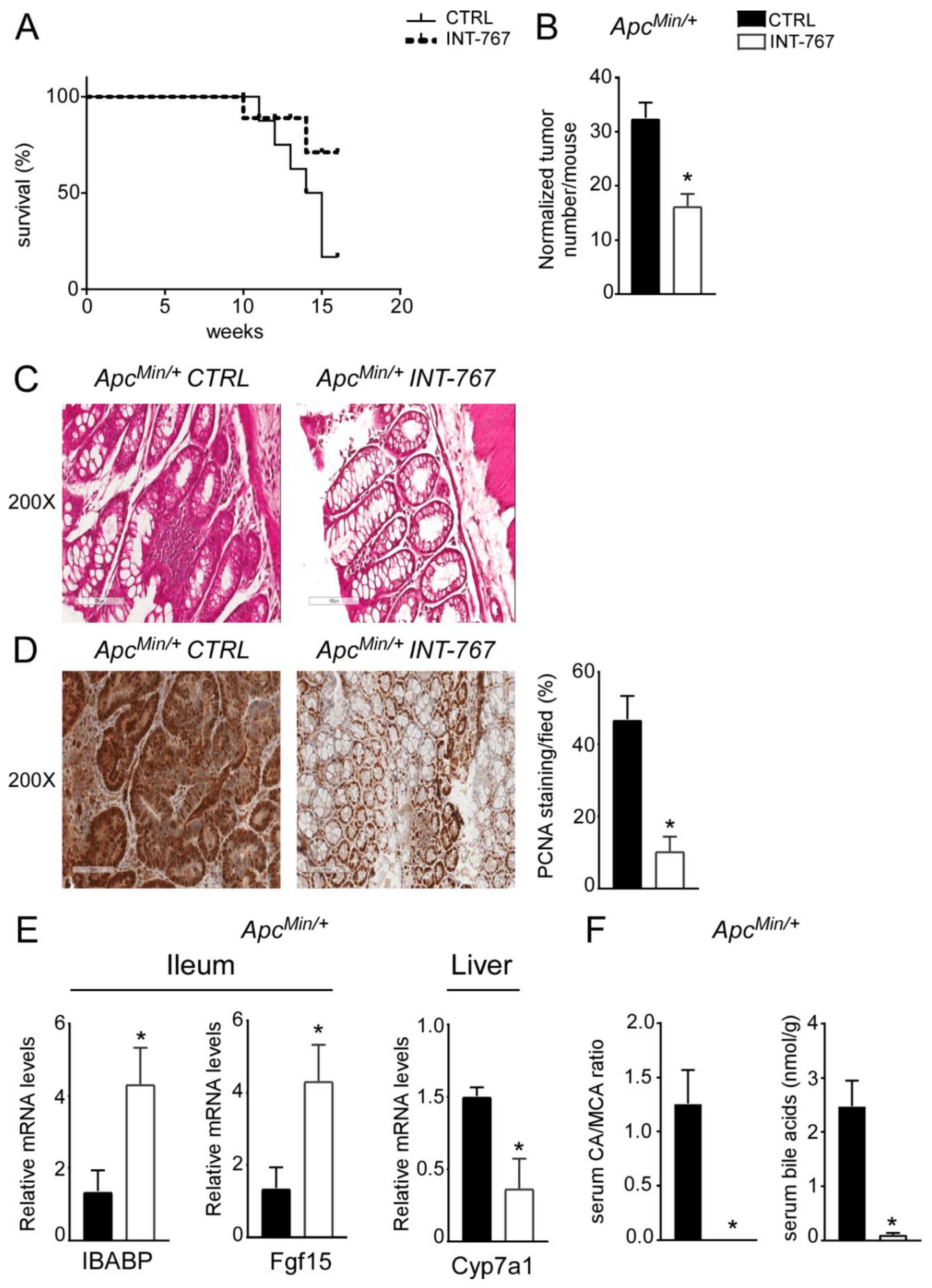 Cancers 14 03081 g006
