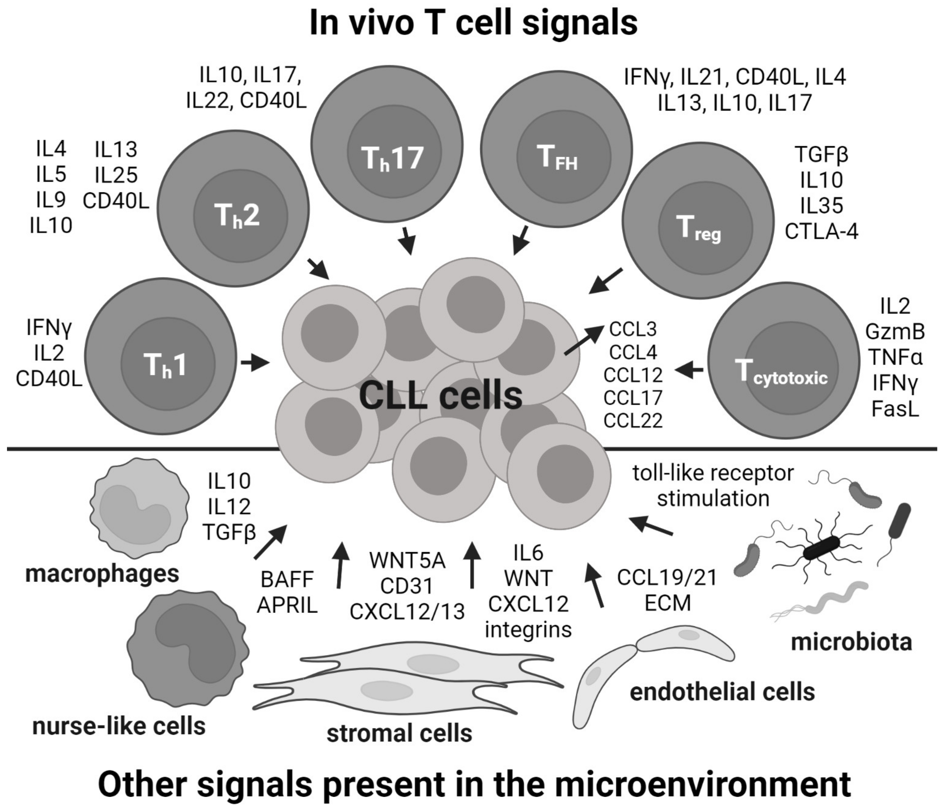 Cancers 14 03087 g001 Cancers 14 03087 g001