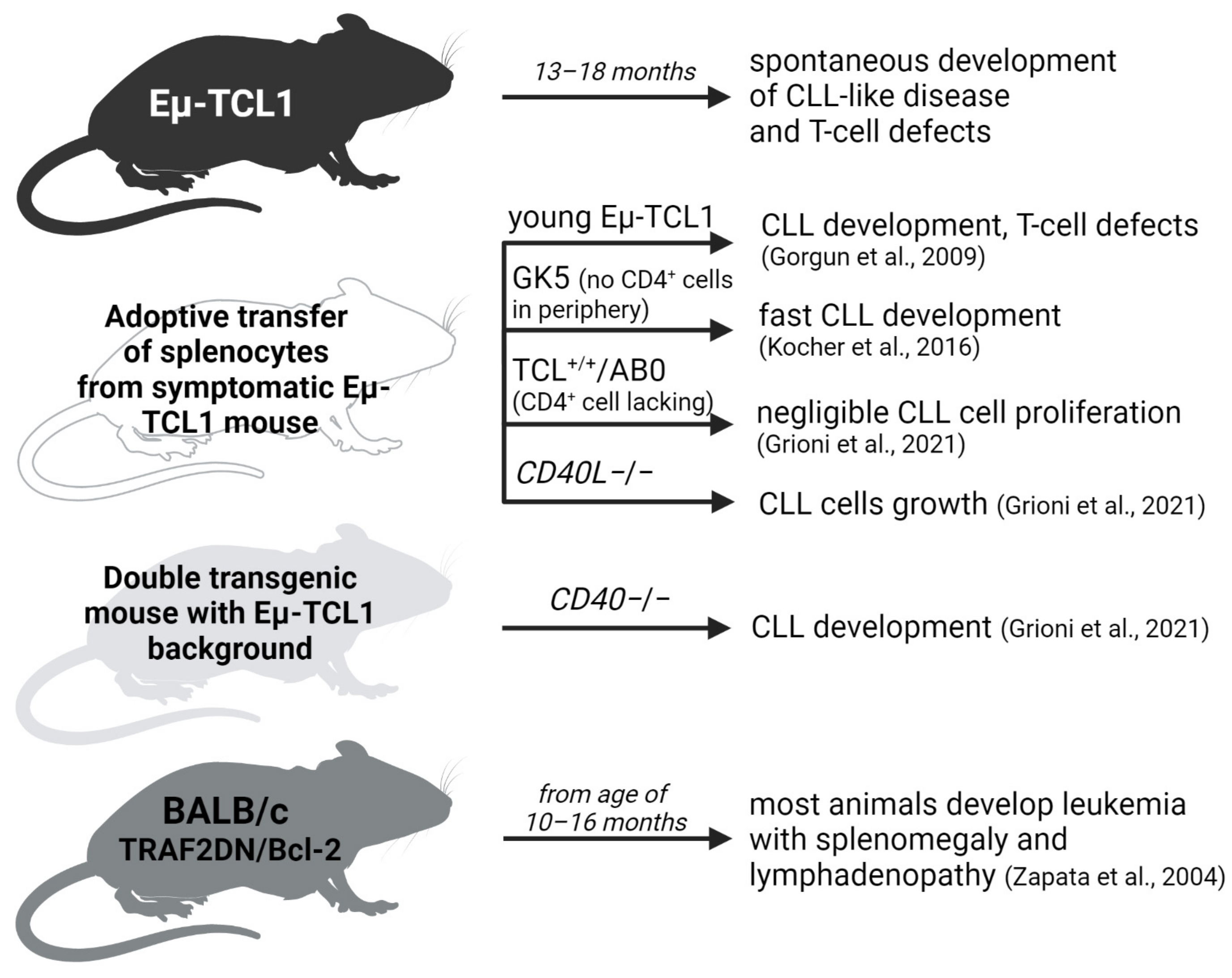 Cancers 14 03087 g003
