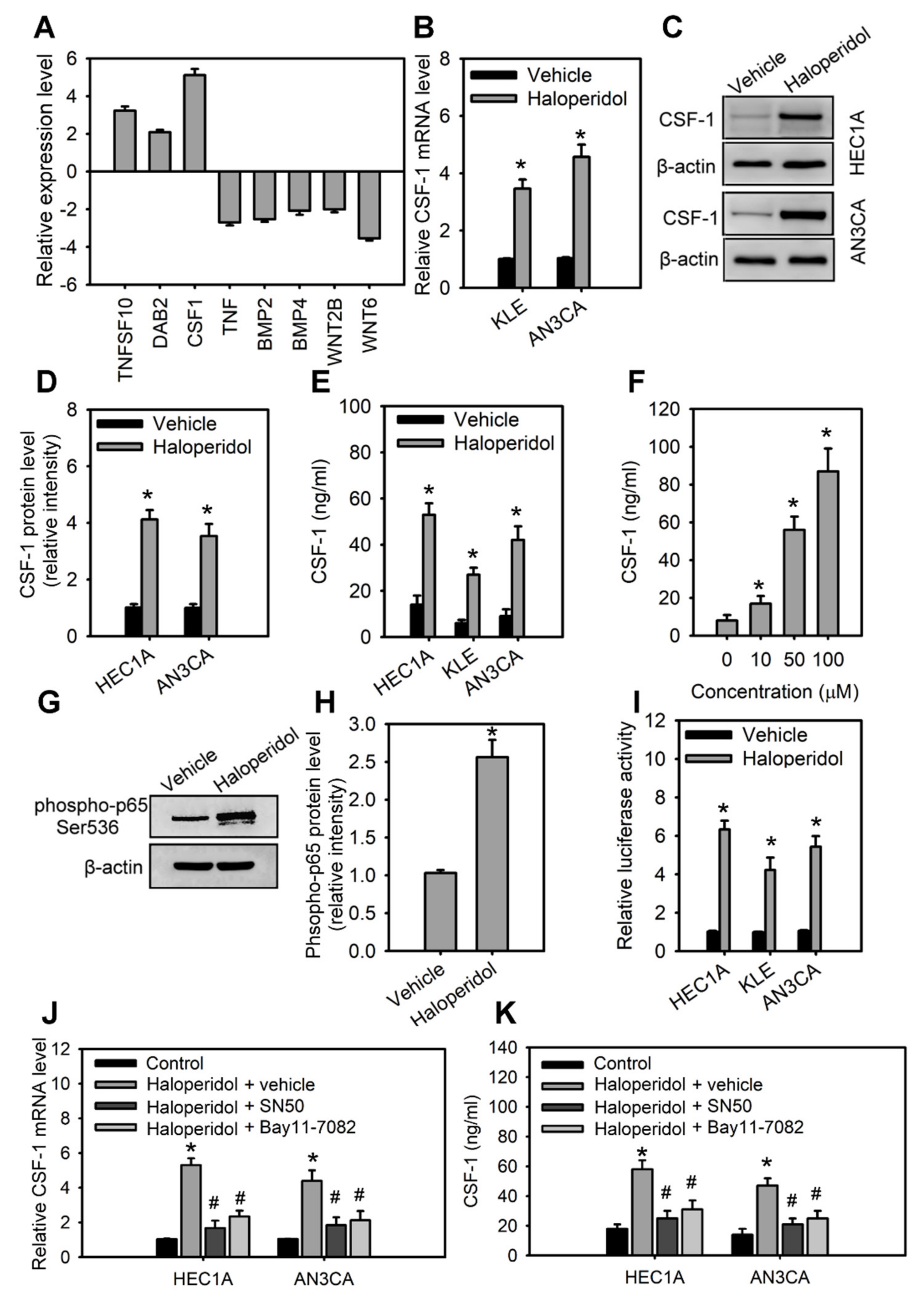Cancers 14 03089 g004 550
