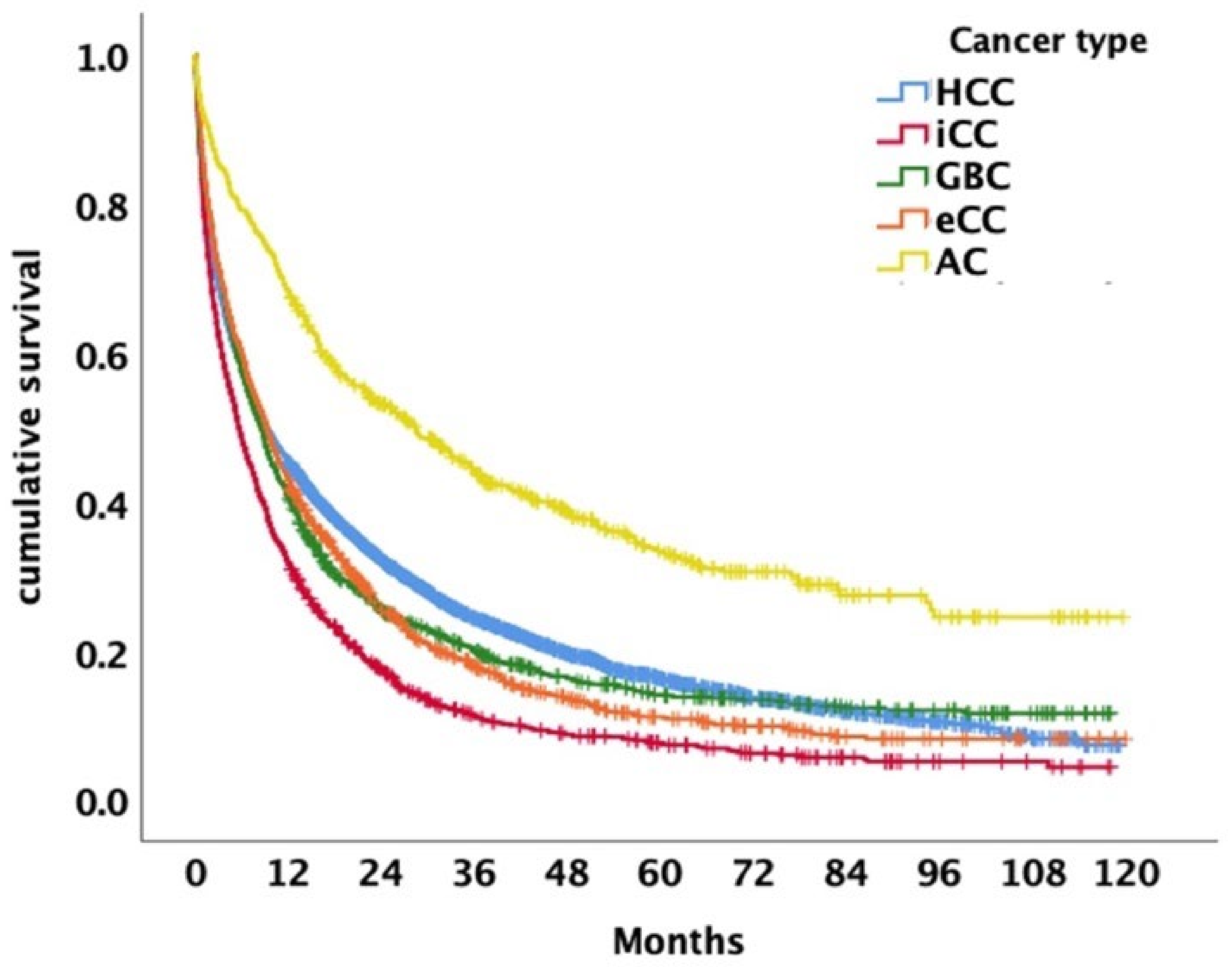 Cancers 14 03093 g006