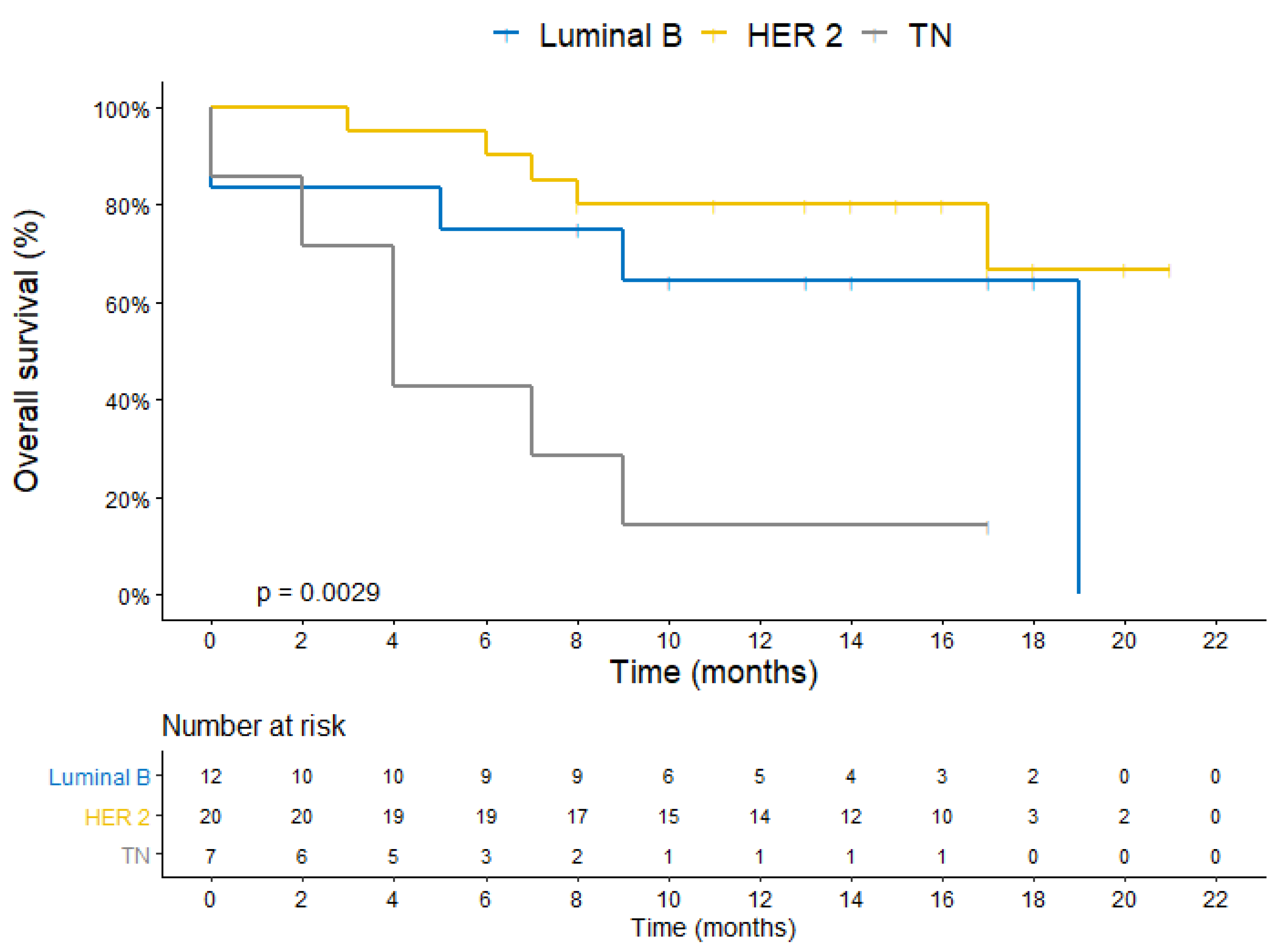 Cancers 14 03101 g003 550