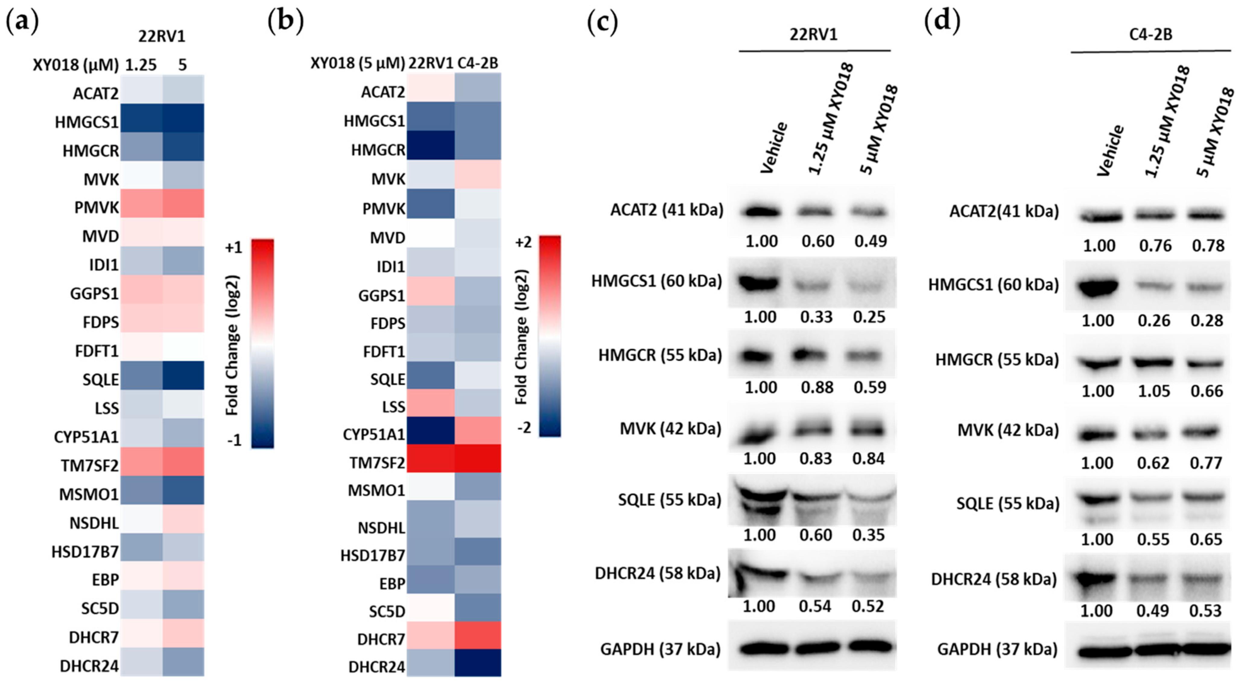 Cancers 14 03110 g002 550