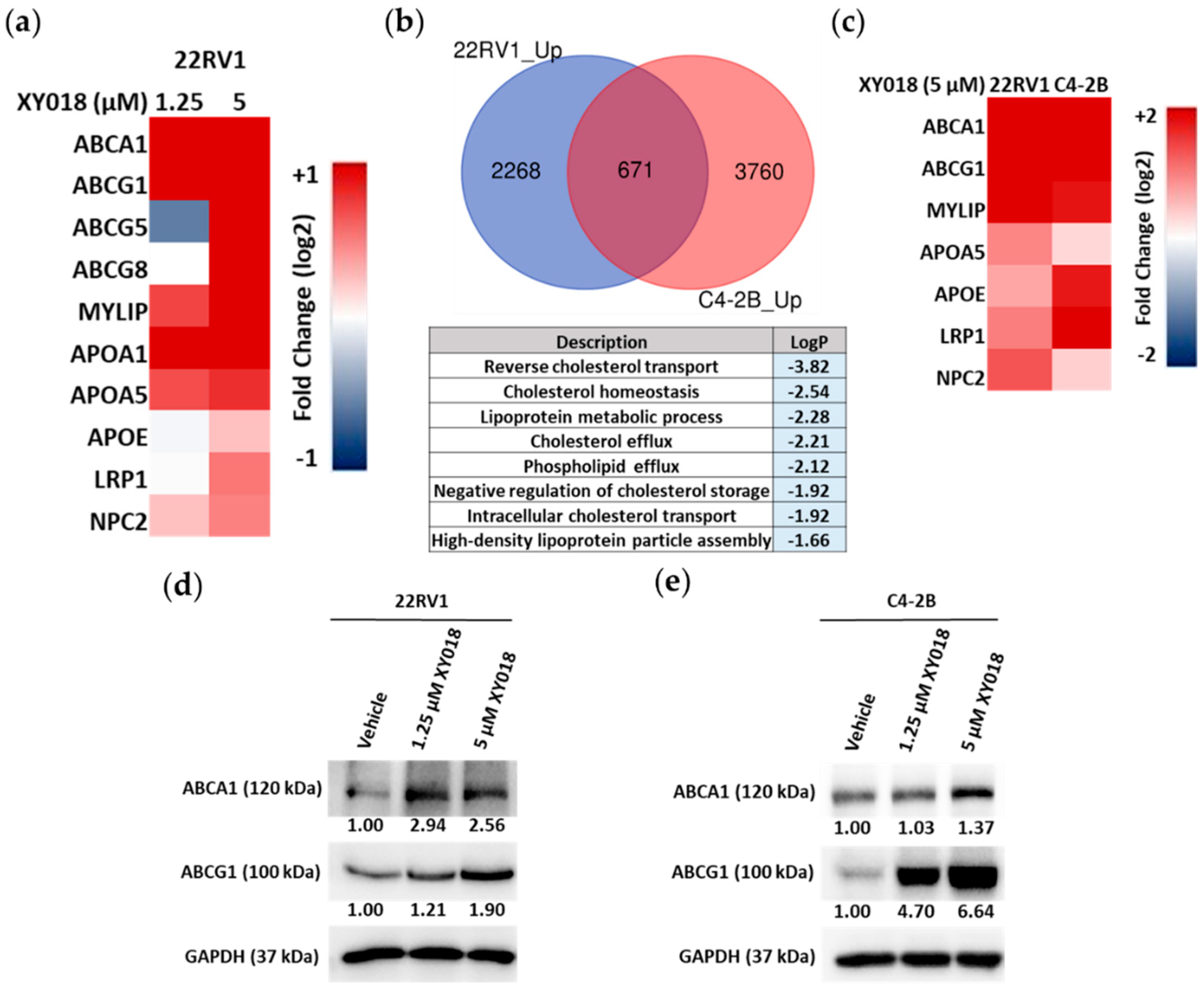 Cancers 14 03110 g003 550