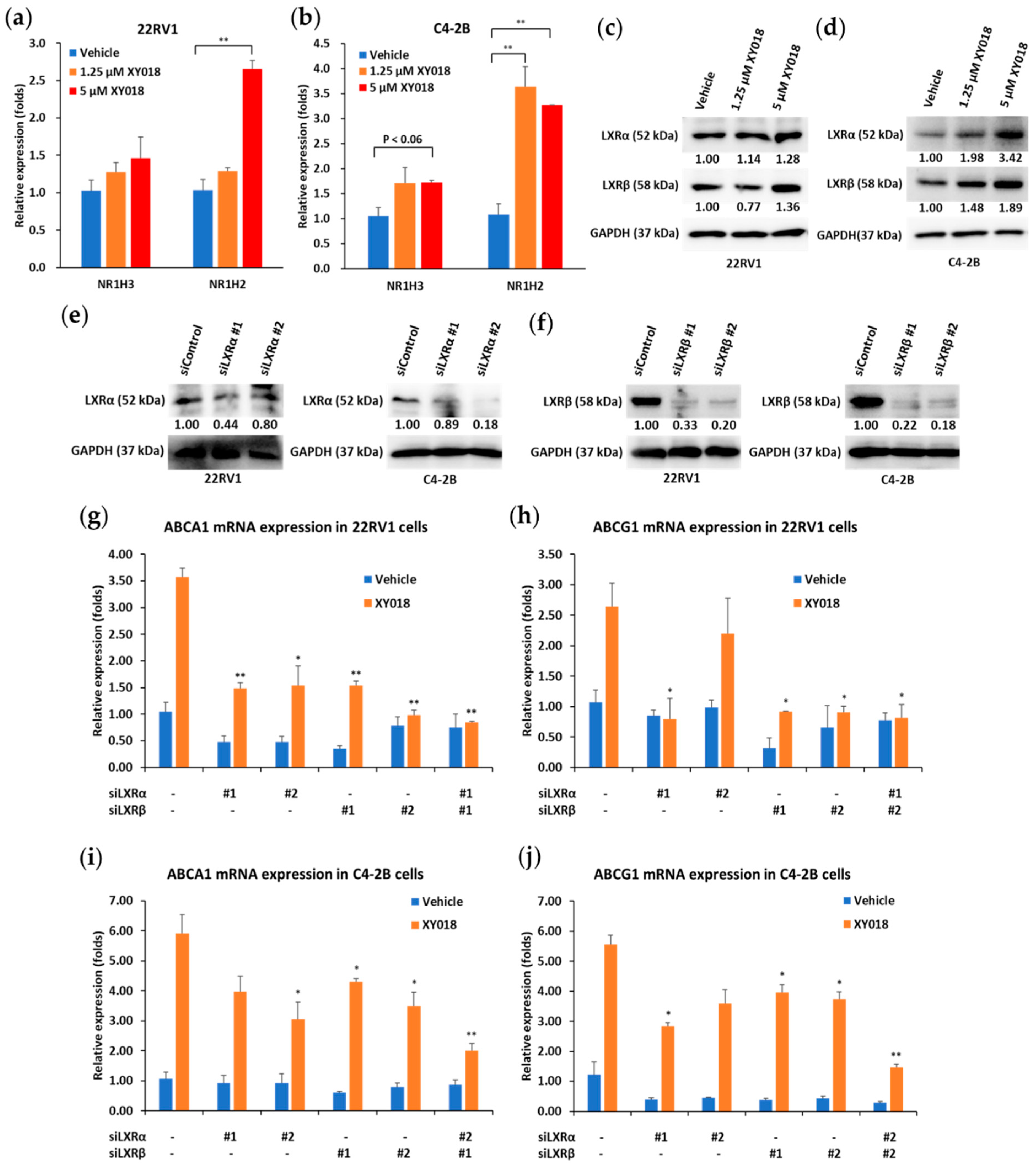 Cancers 14 03110 g004 550