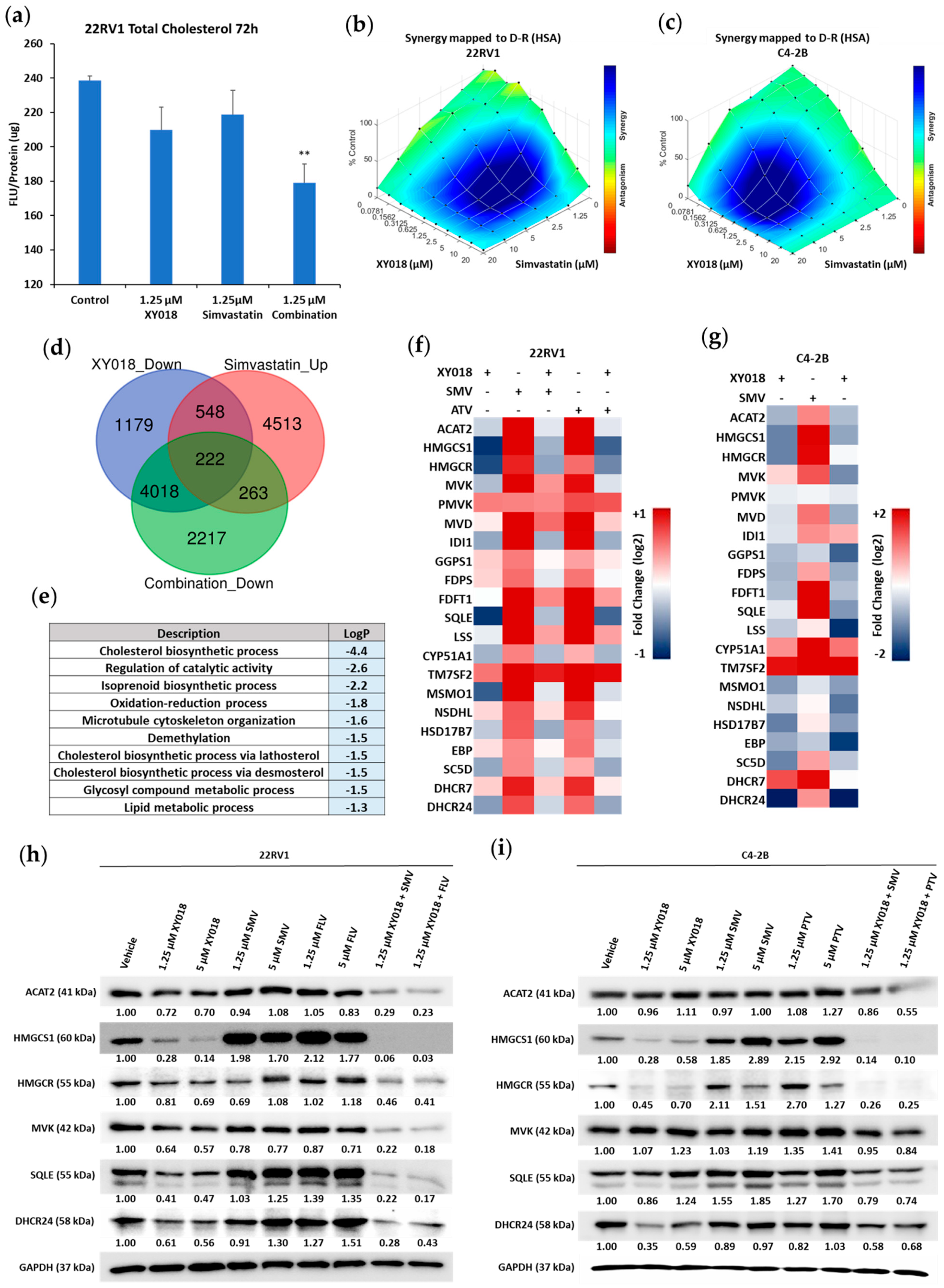 Cancers 14 03110 g005 550