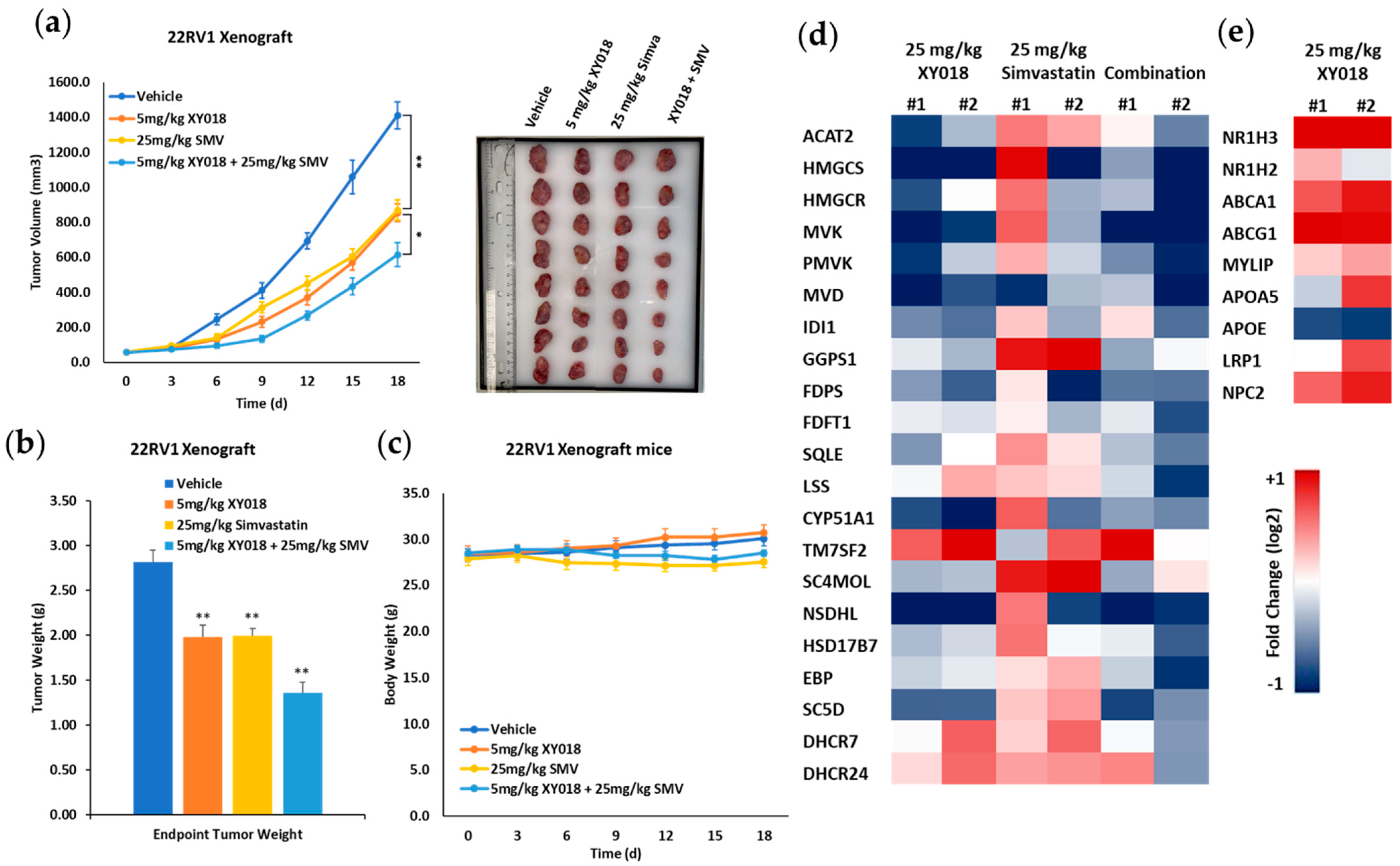 Cancers 14 03110 g006 550