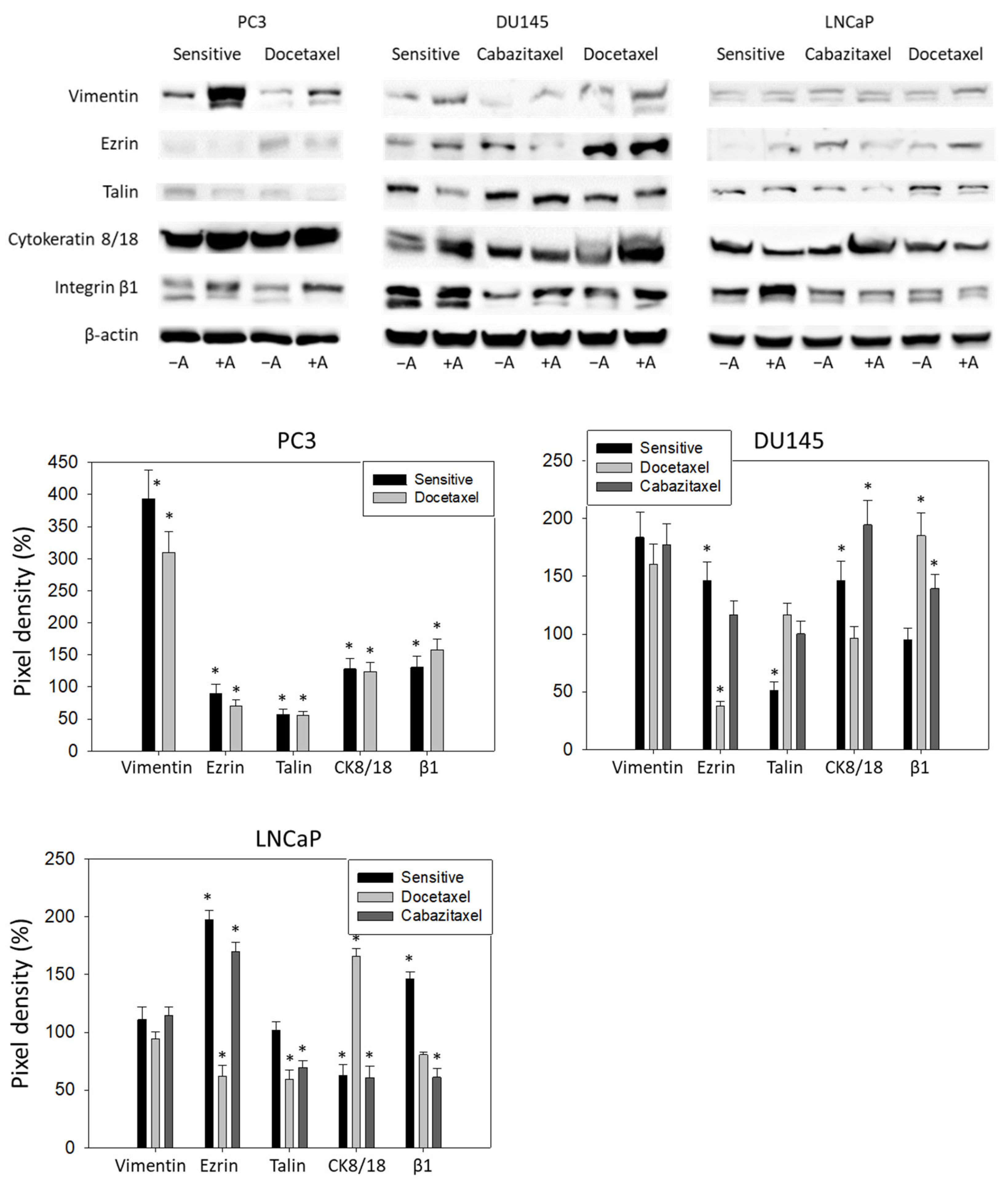 Cancers 14 03111 g007