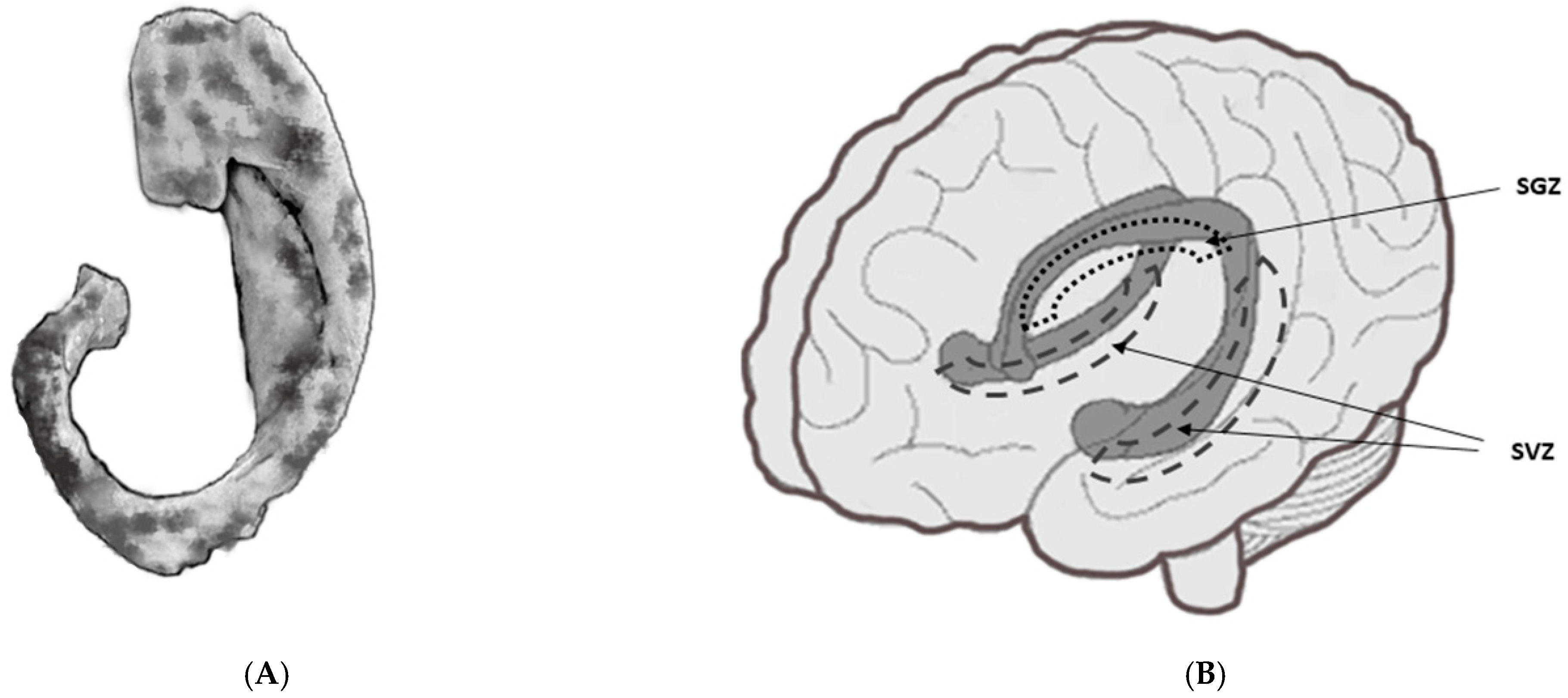 Cancers 14 03119 g001