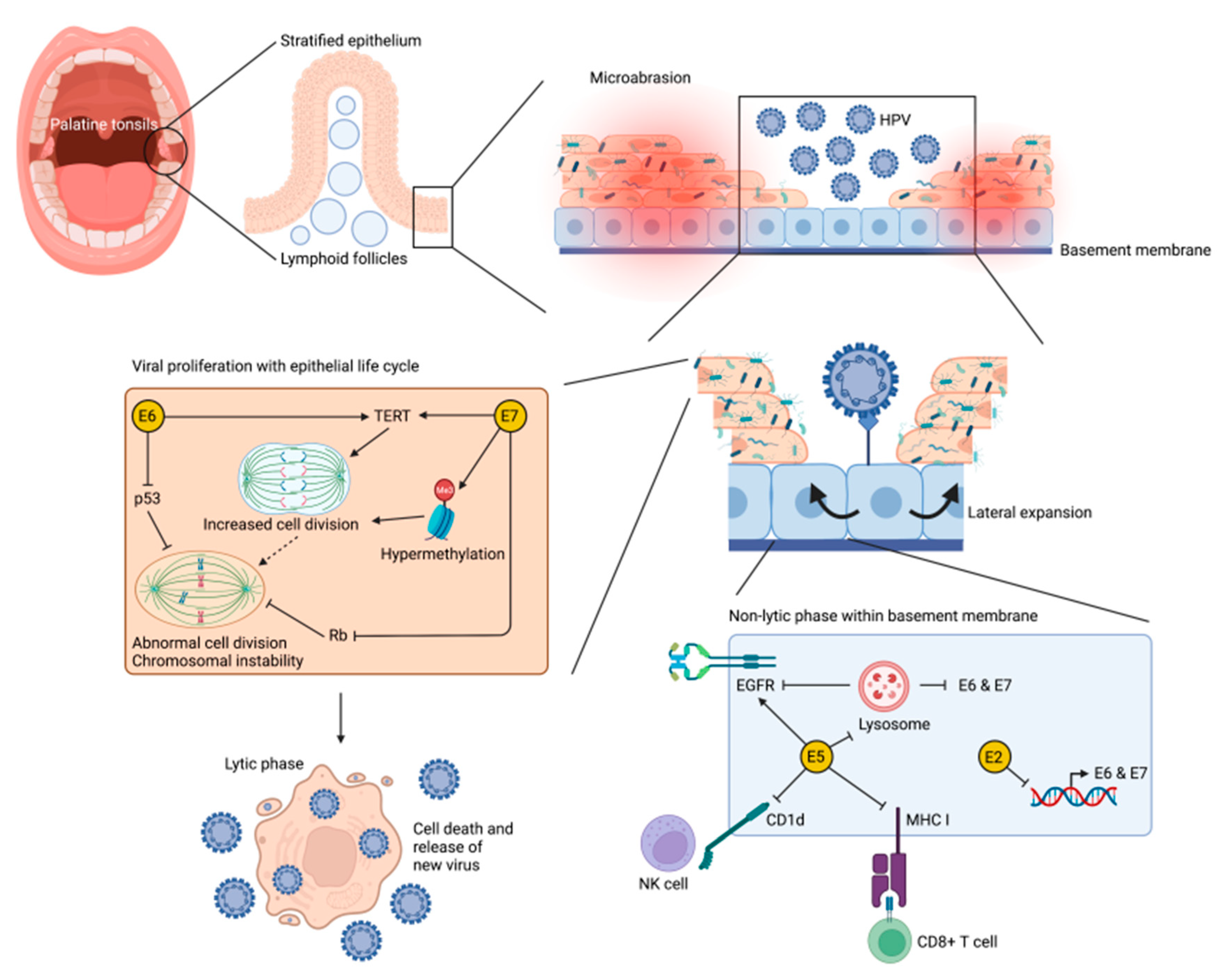 Cancers 14 03120 g002 Cancers 14 03120 g002