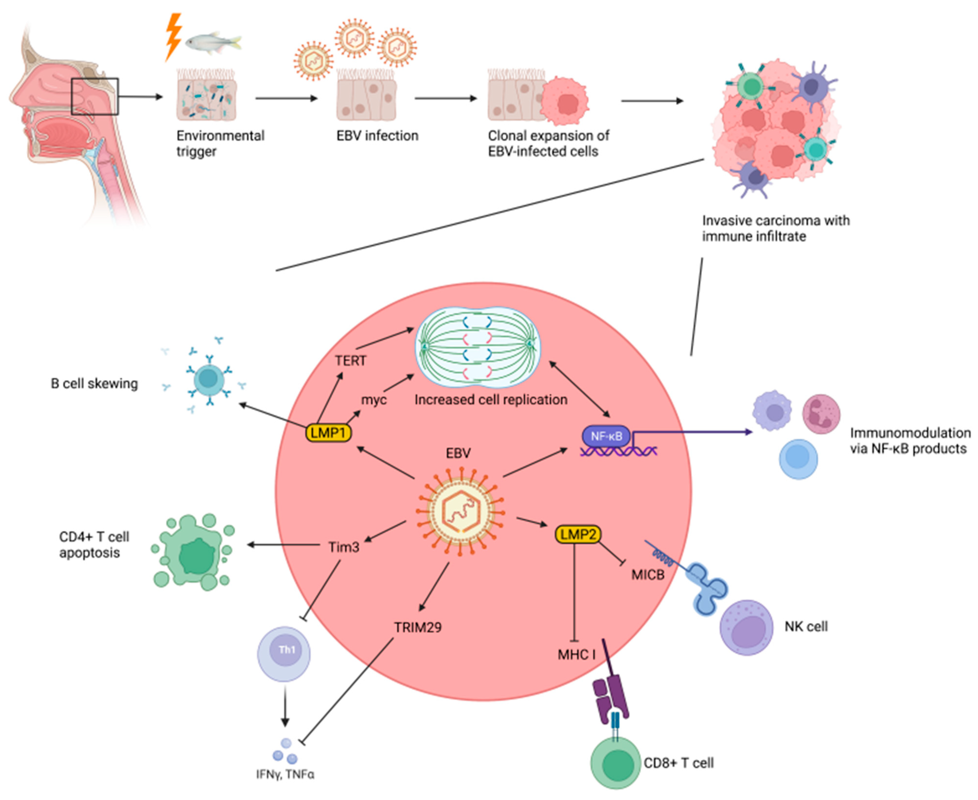 Cancers 14 03120 g003 Cancers 14 03120 g003