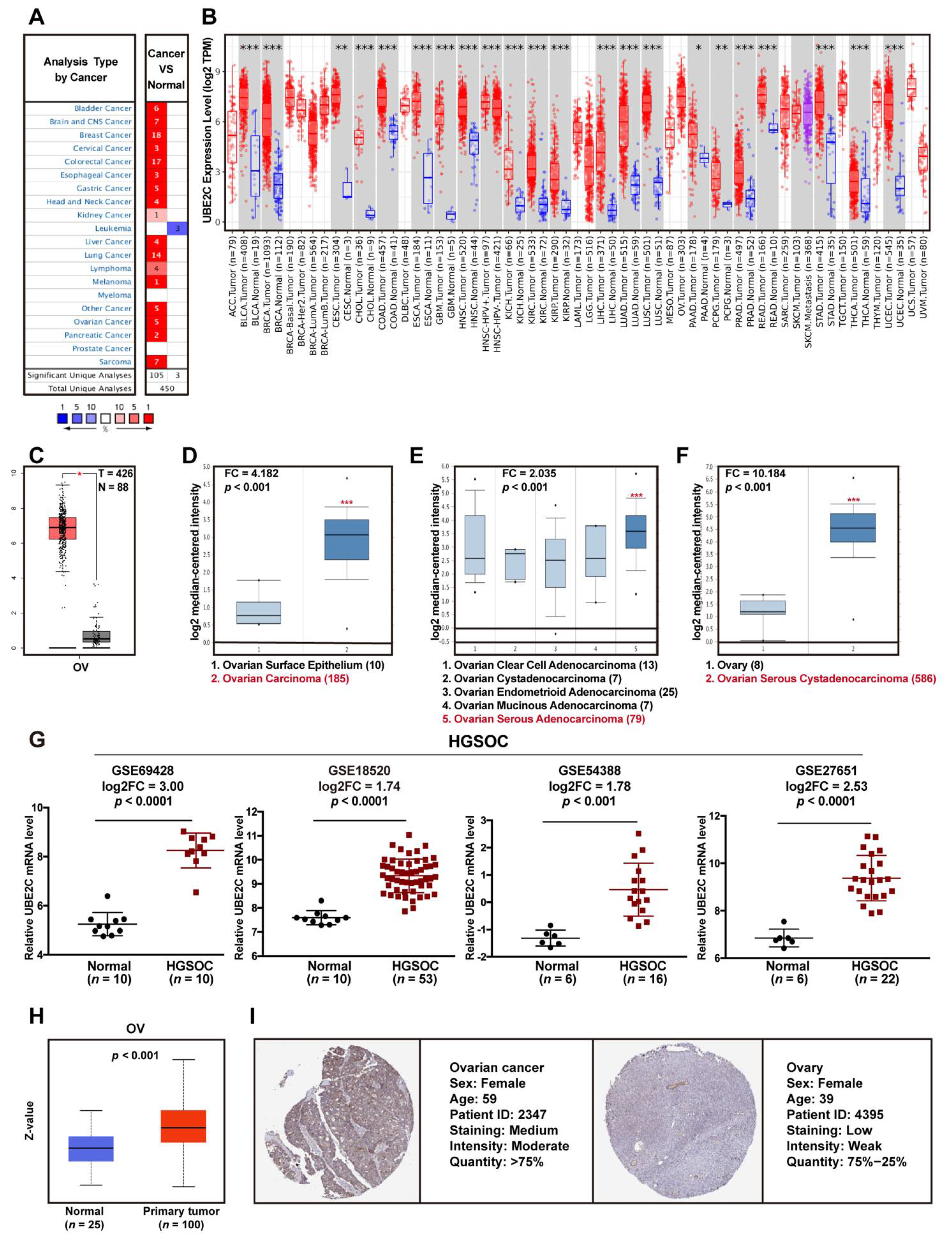 Cancers 14 03121 g002 550