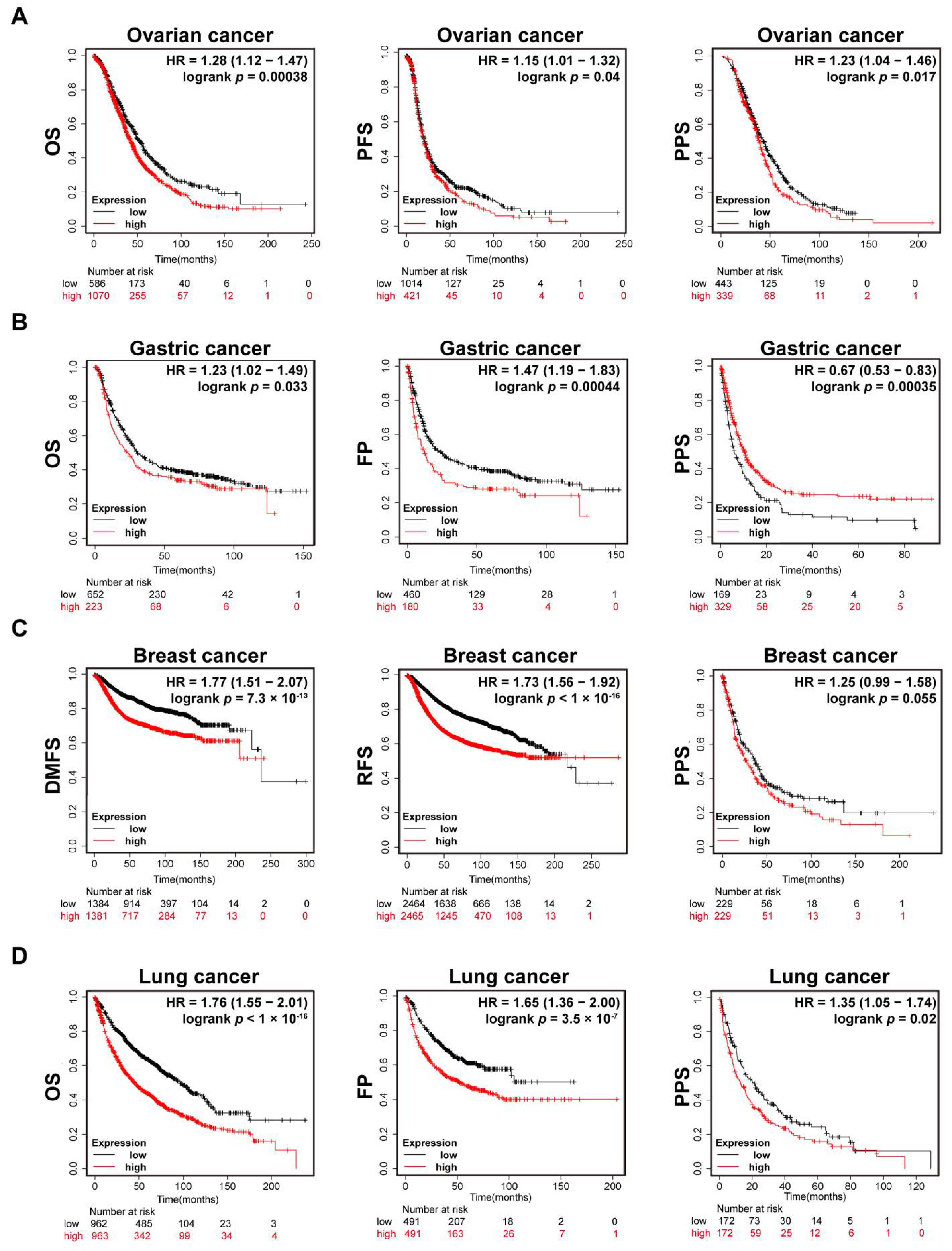 Cancers 14 03121 g003 550