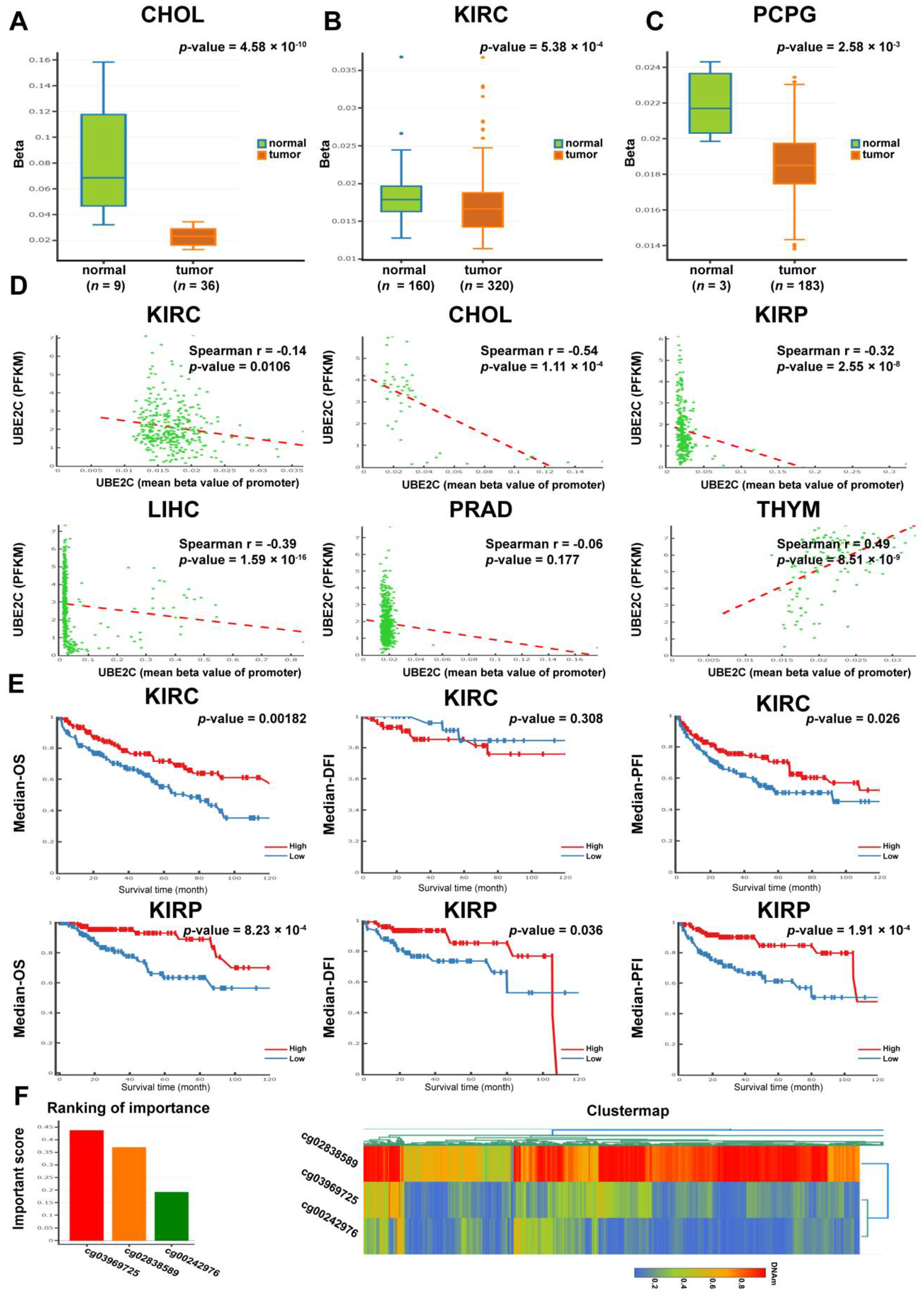 Cancers 14 03121 g004 550