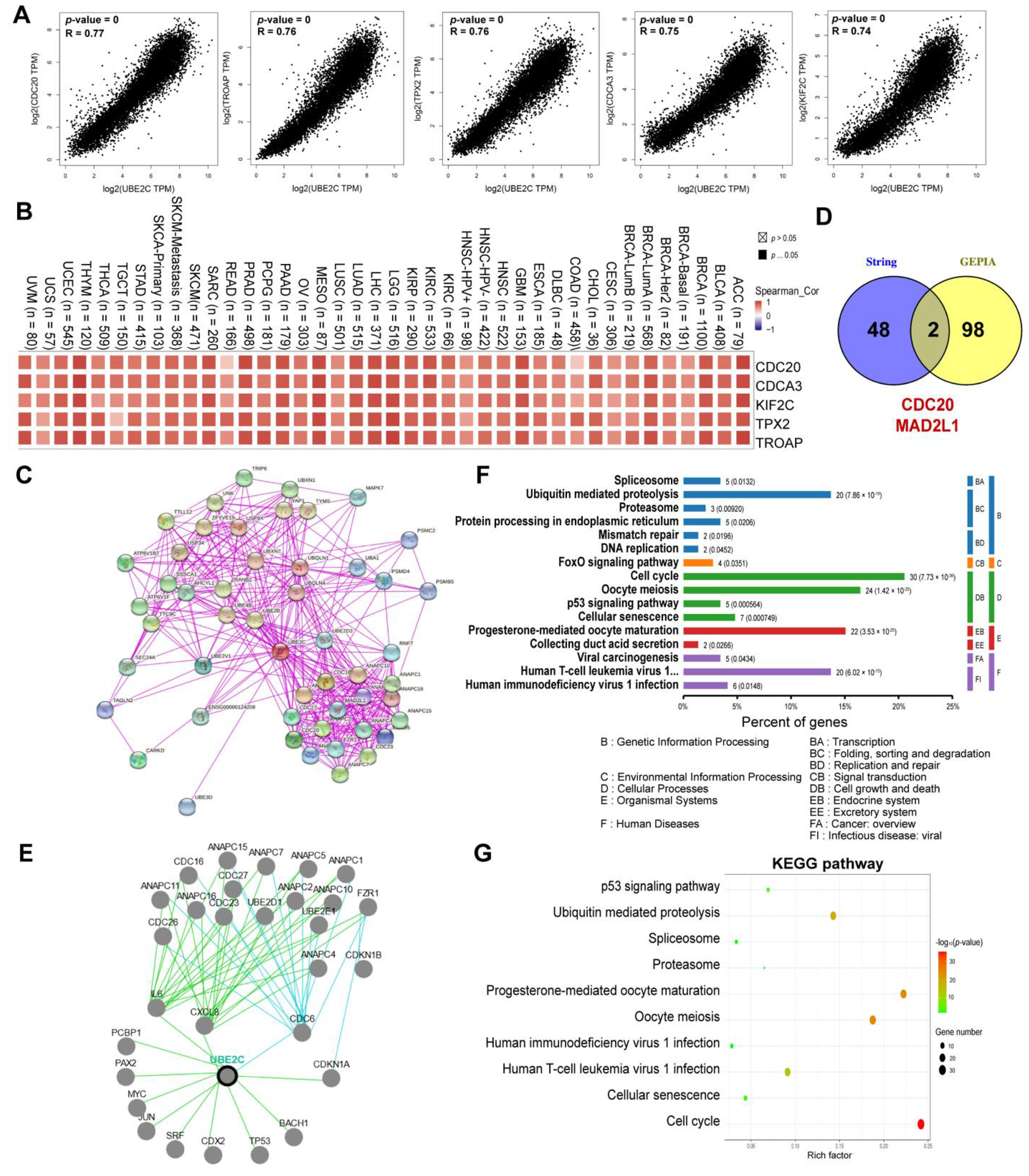 Cancers 14 03121 g005 550