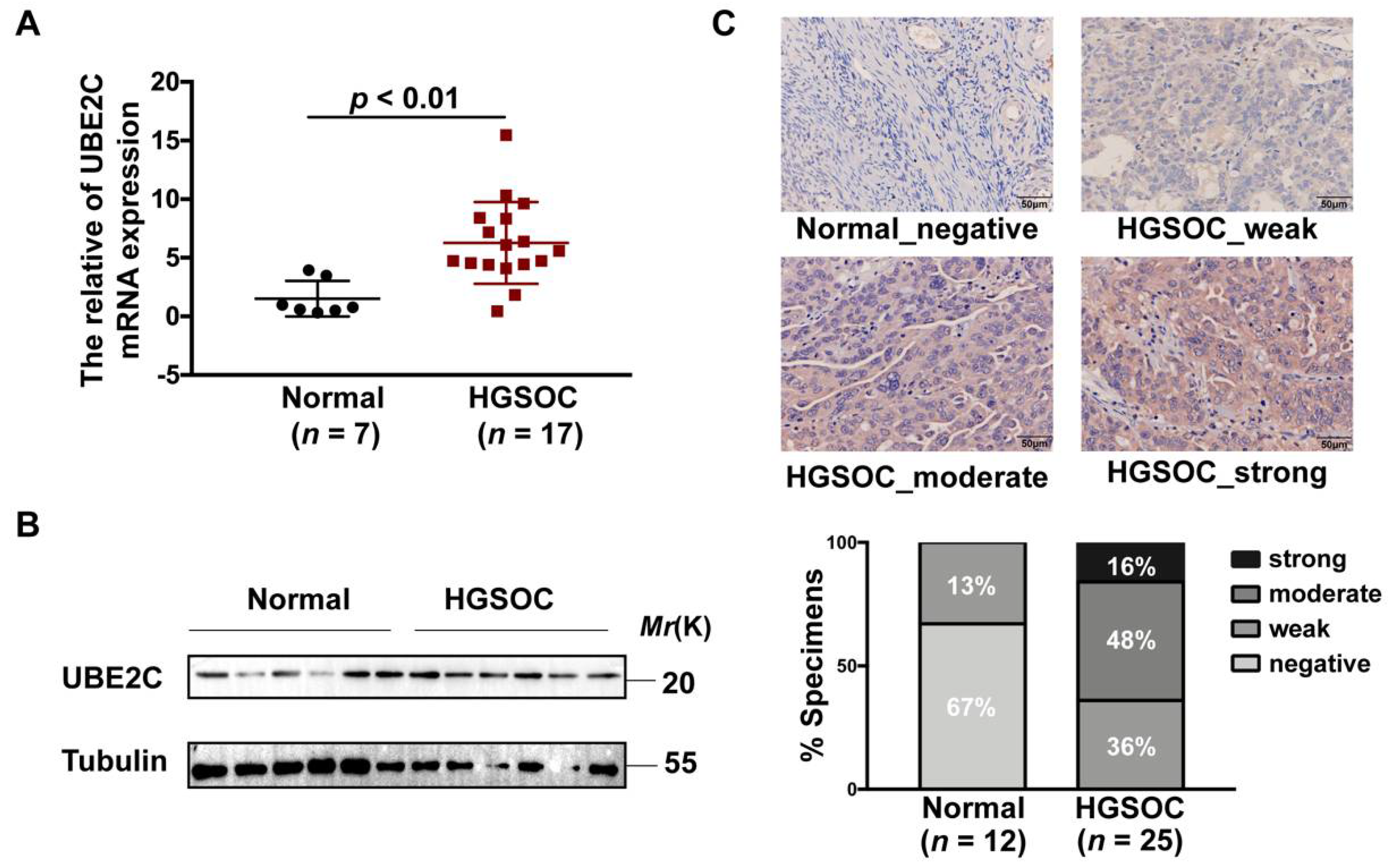 Cancers 14 03121 g006 550