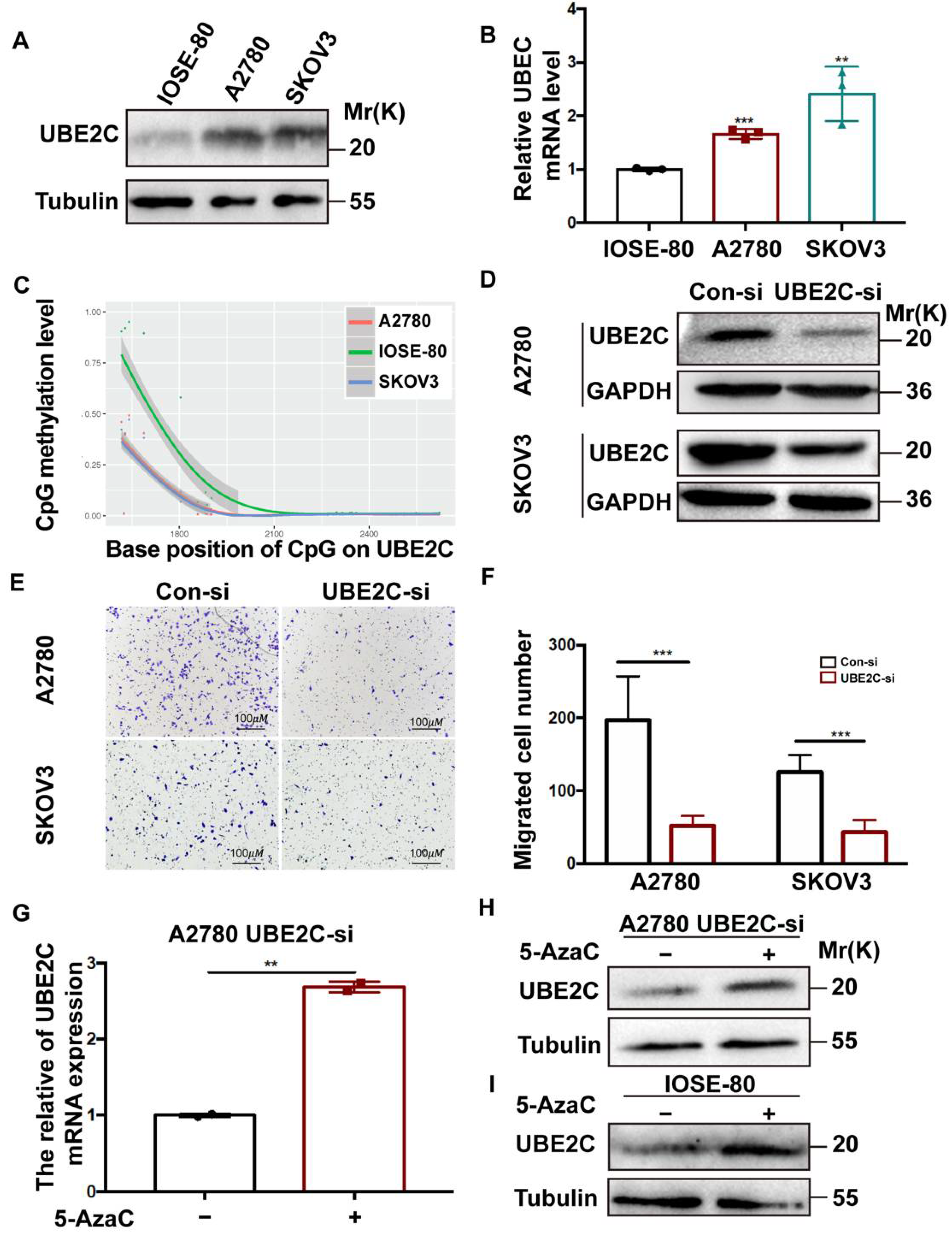 Cancers 14 03121 g007 550