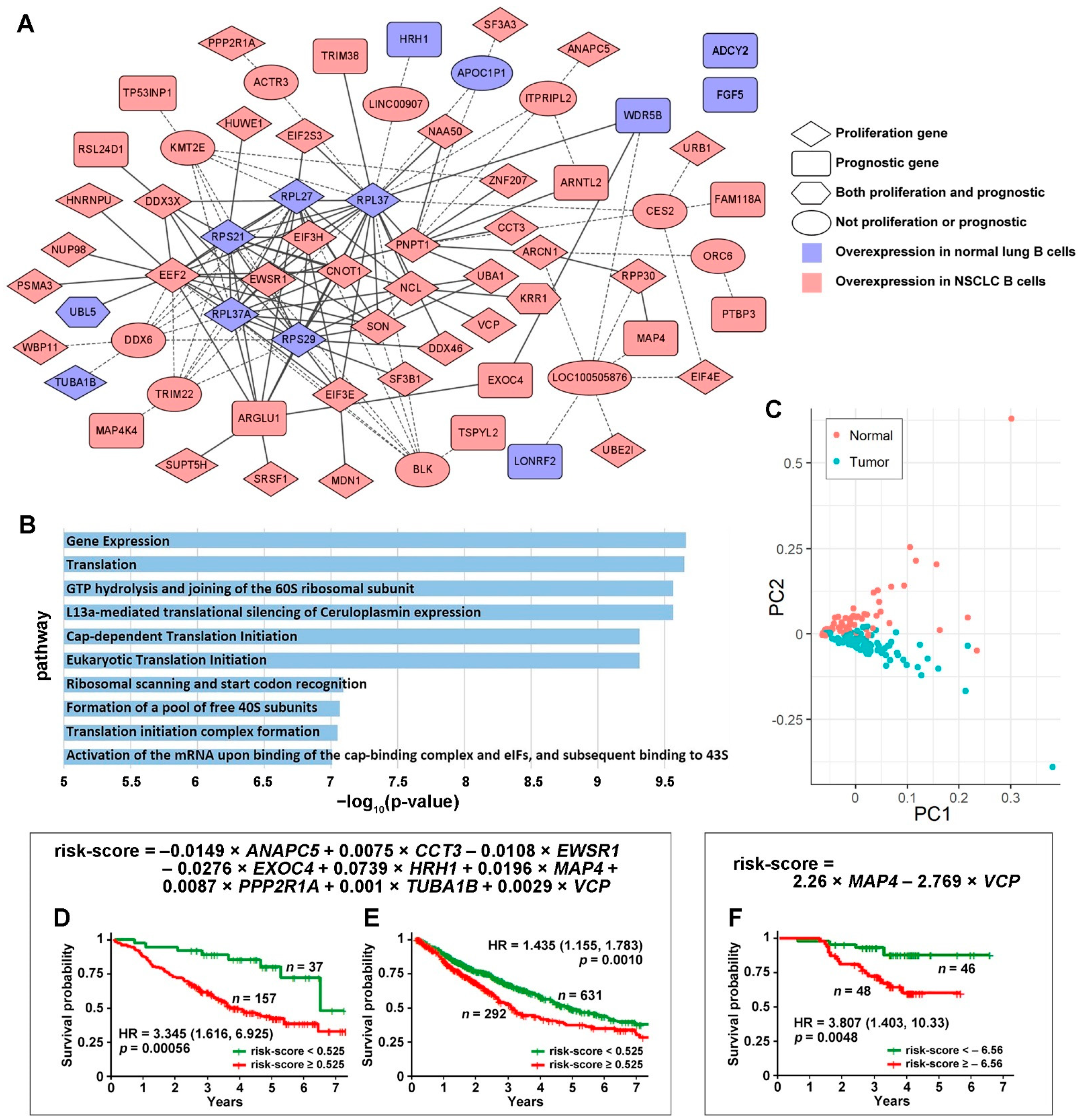 Cancers 14 03123 g001