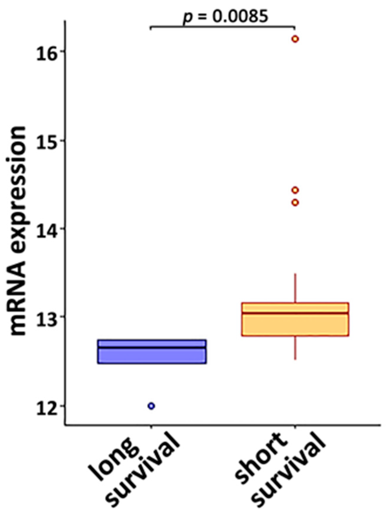 Cancers 14 03123 g004