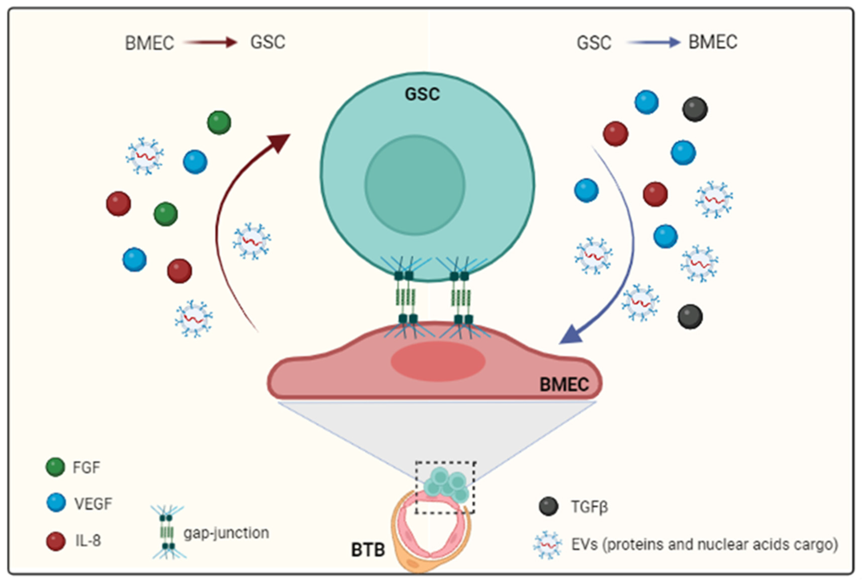 Cancers 14 03128 g002 Cancers 14 03128 g002