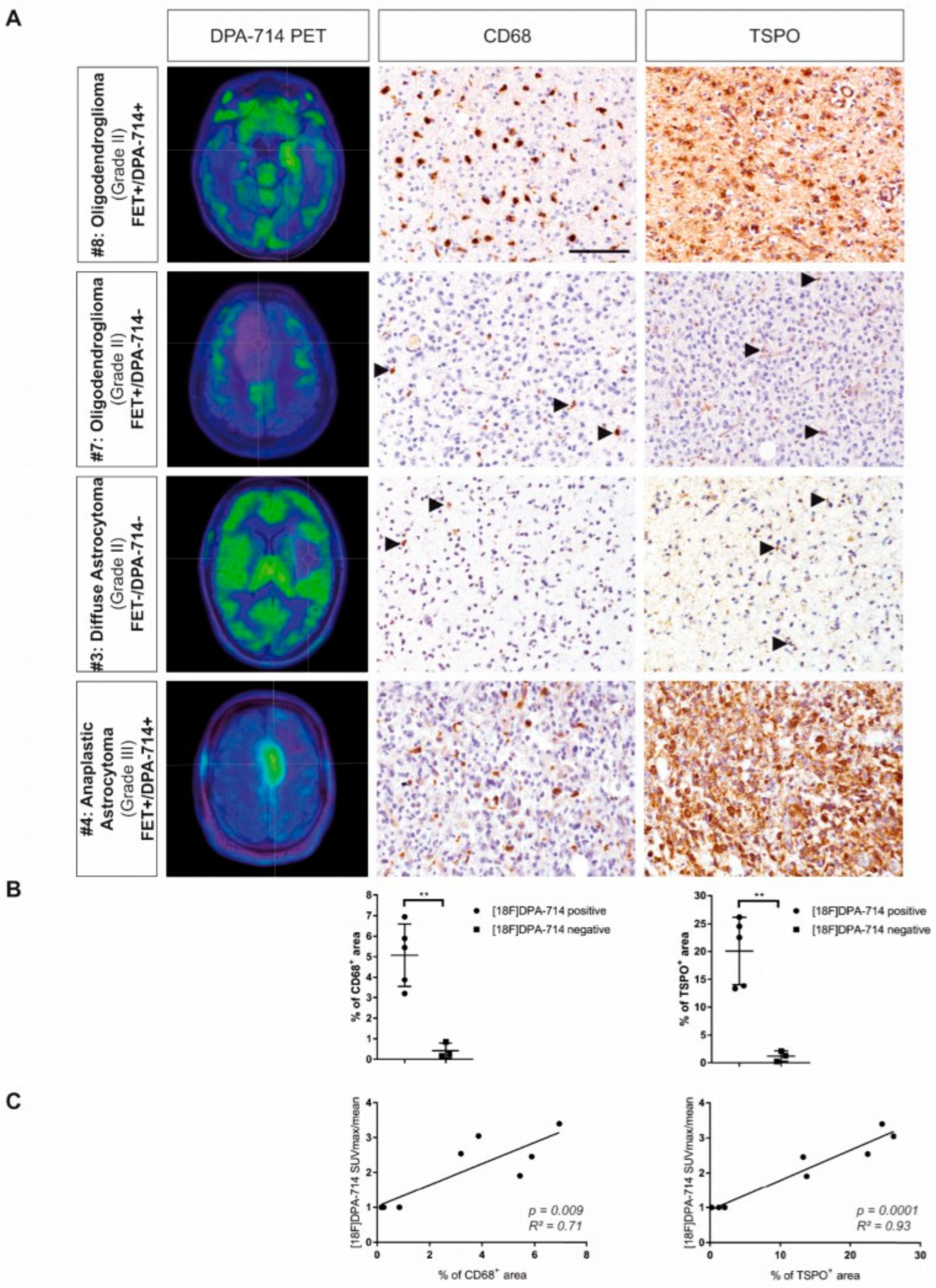 Cancers 14 03139 g002 Cancers 14 03139 g002