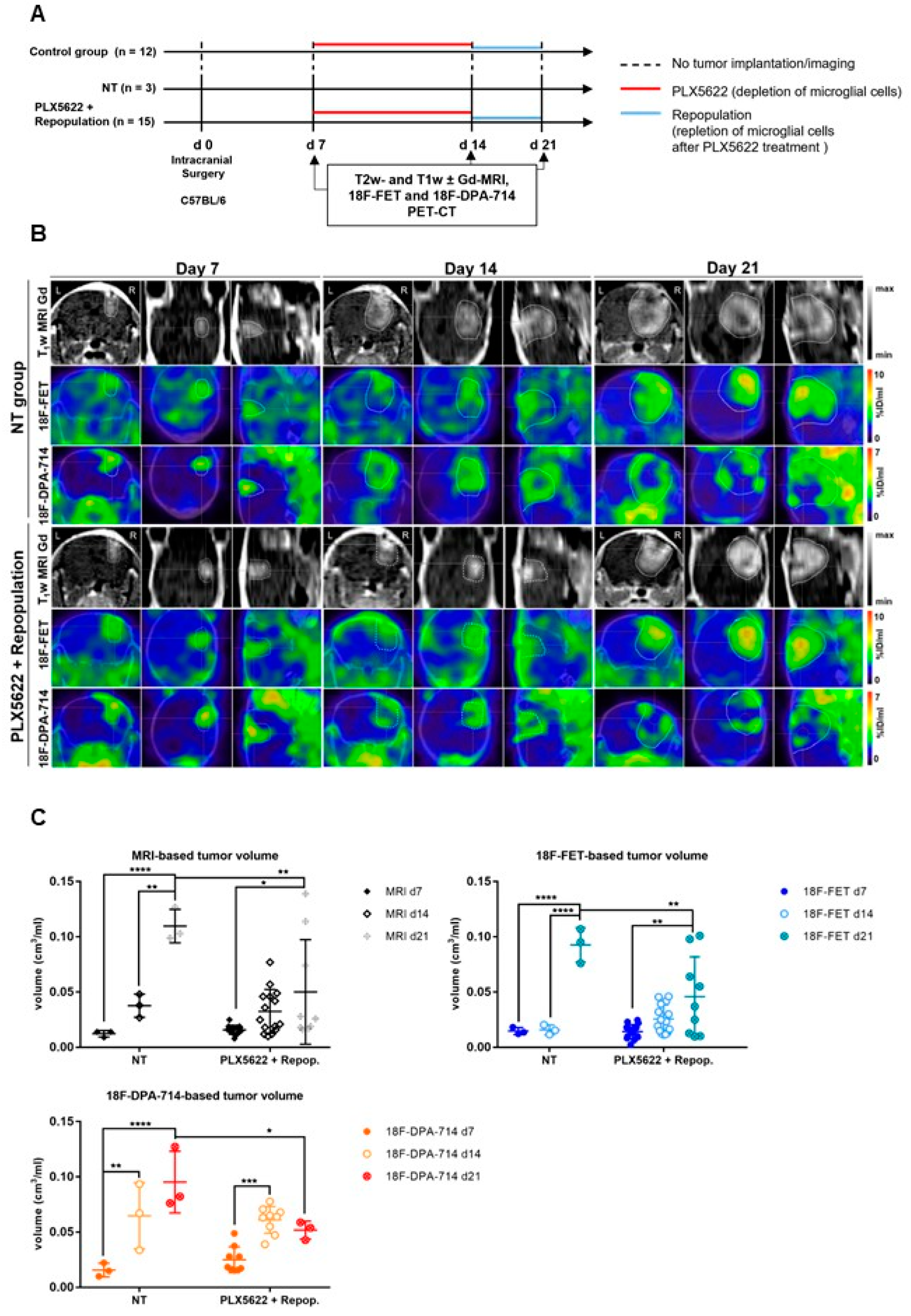Cancers 14 03139 g004 Cancers 14 03139 g004